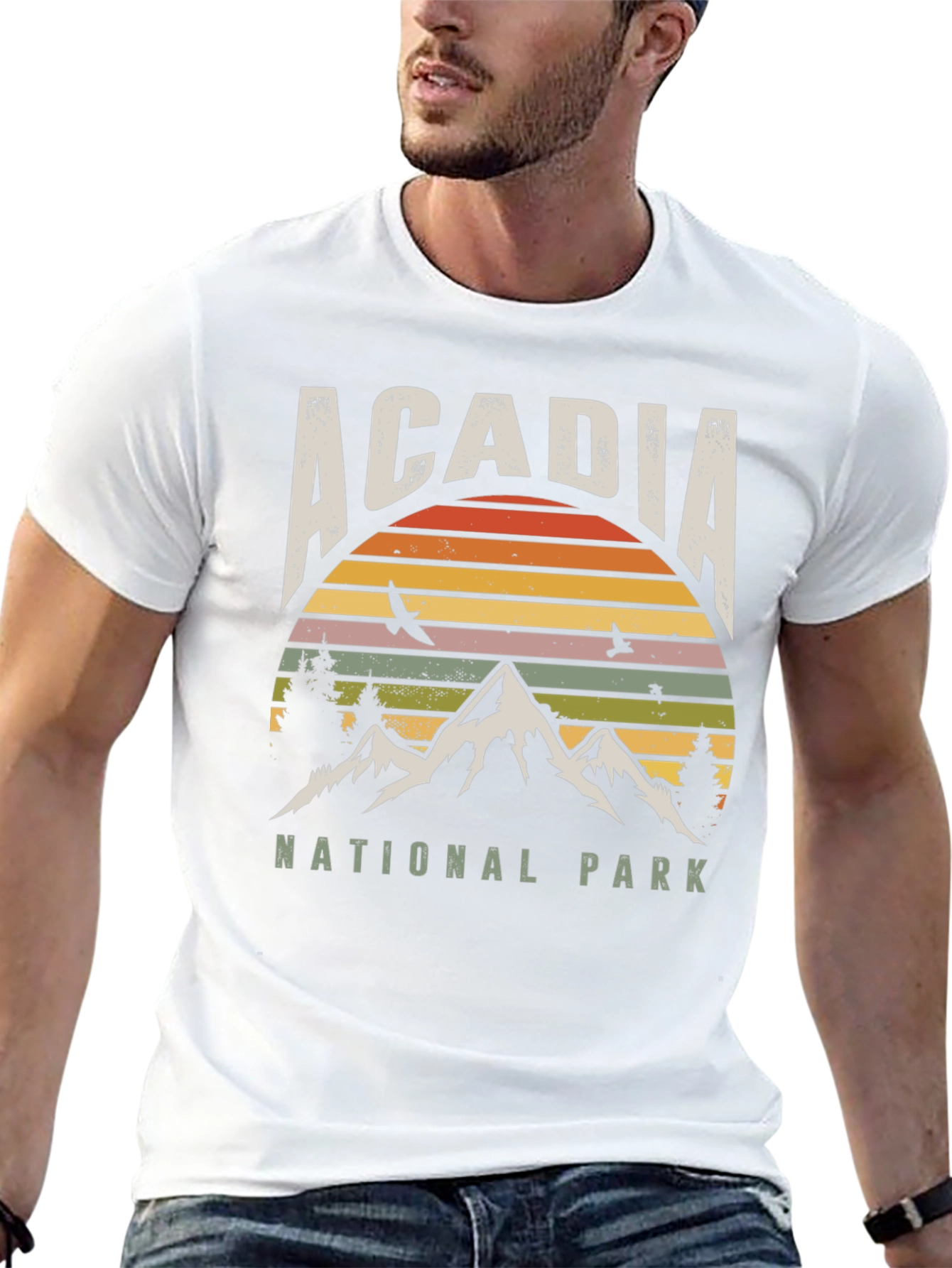 Acadia National Park Retro T-Shirt