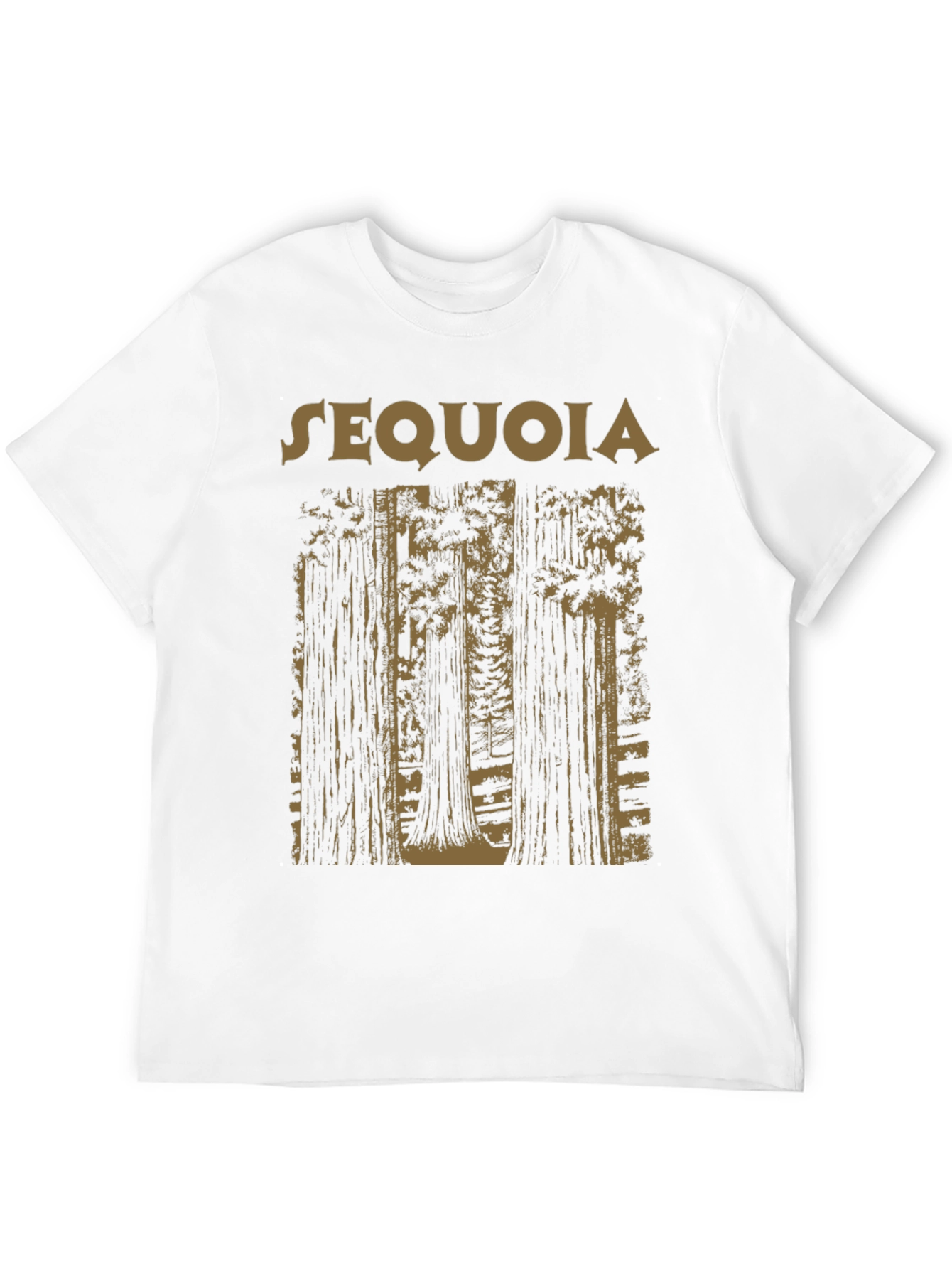 Sequoia Forest Graphic Tee - Black Cotton T-Shirt