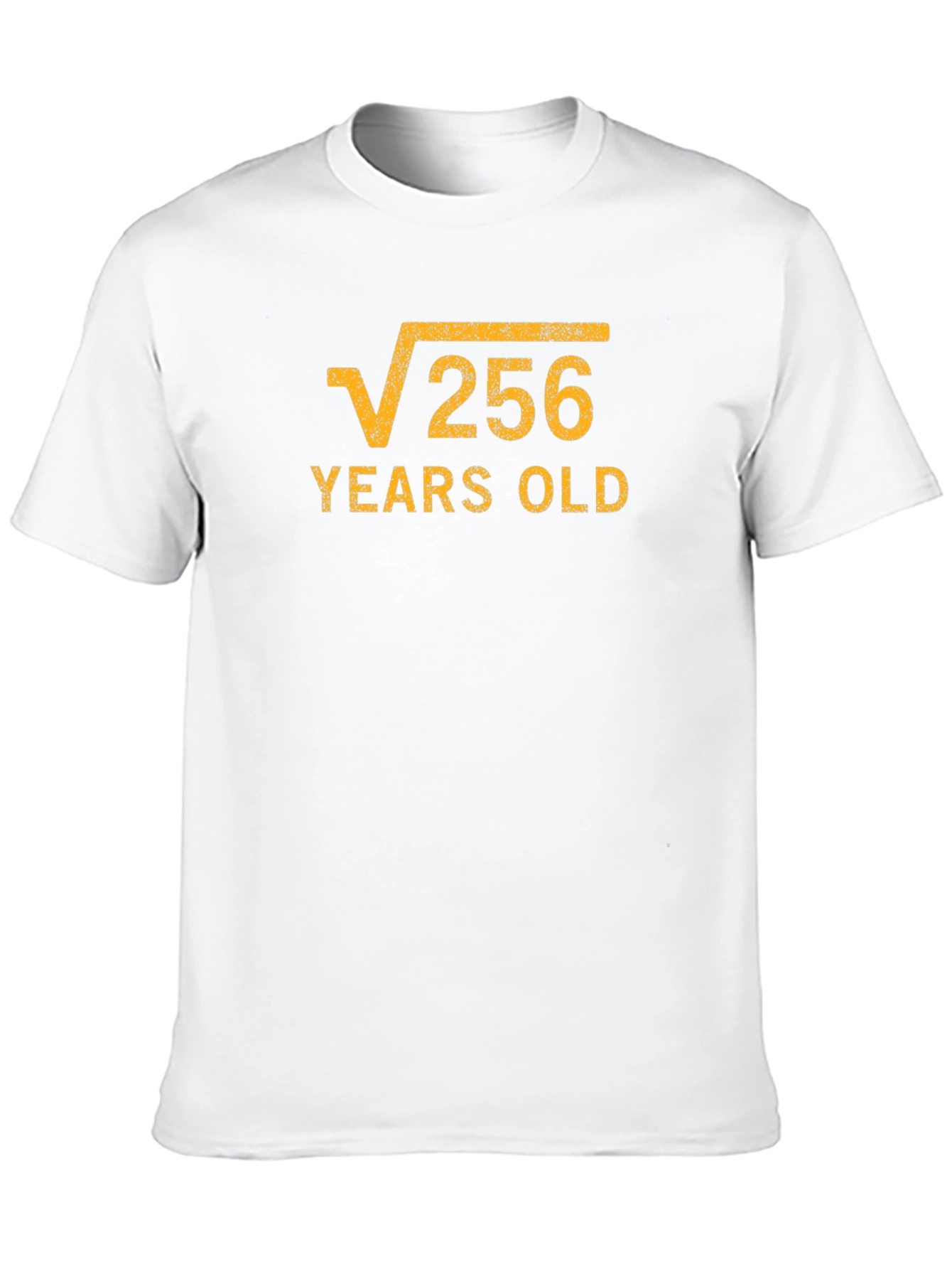 Funny Math Birthday T-Shirt - Root 256 Years Old
