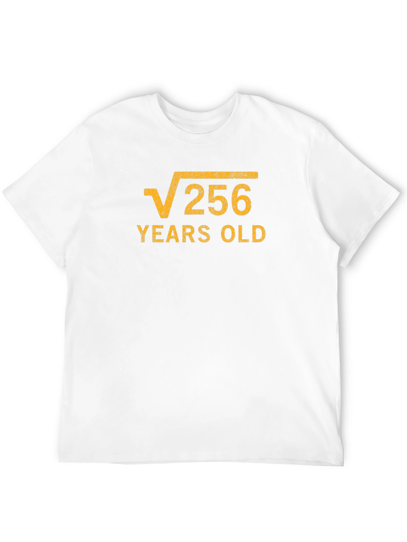 Funny Math Birthday T-Shirt - Root 256 Years Old