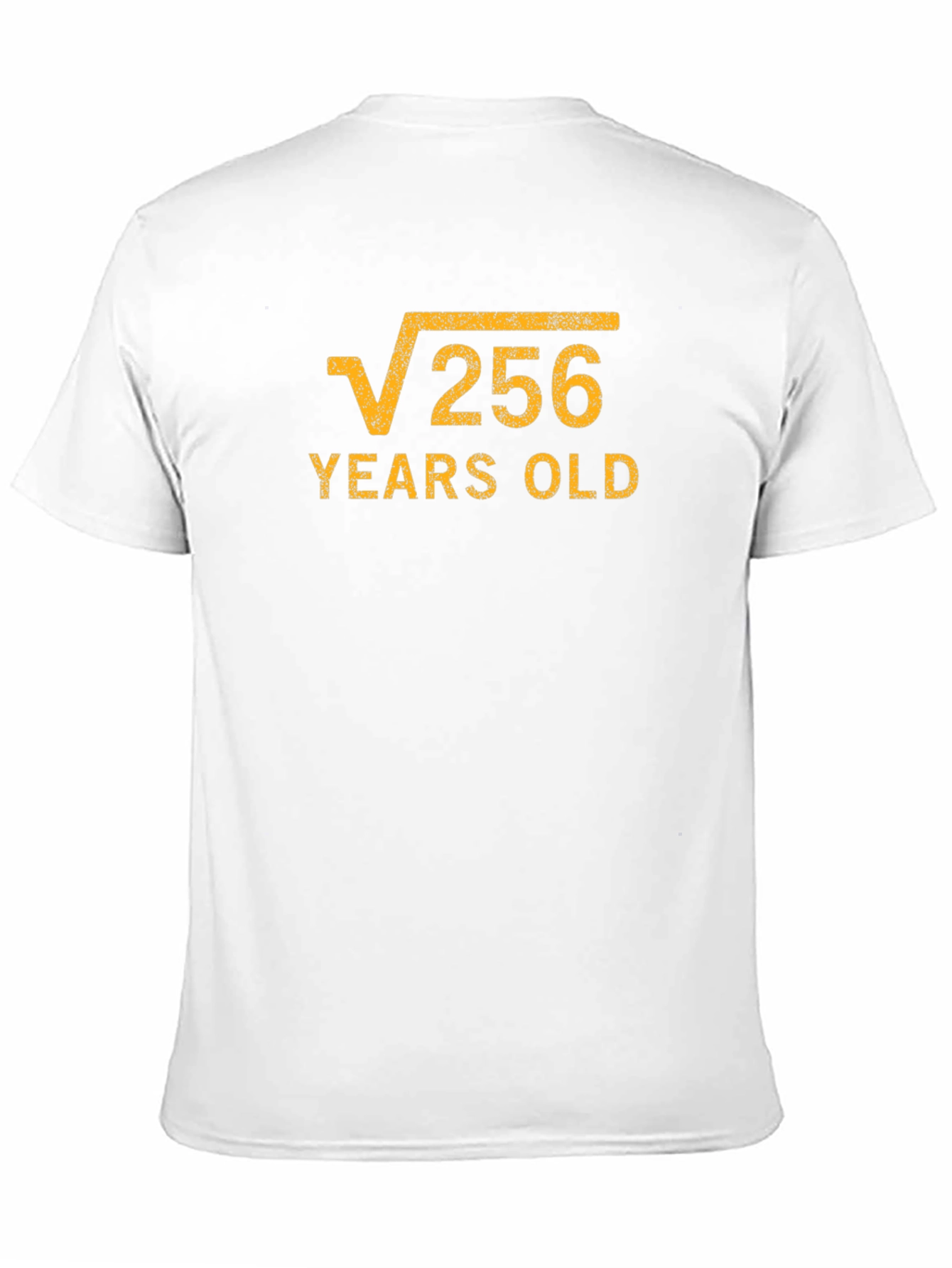 Funny Math Birthday T-Shirt - Root 256 Years Old