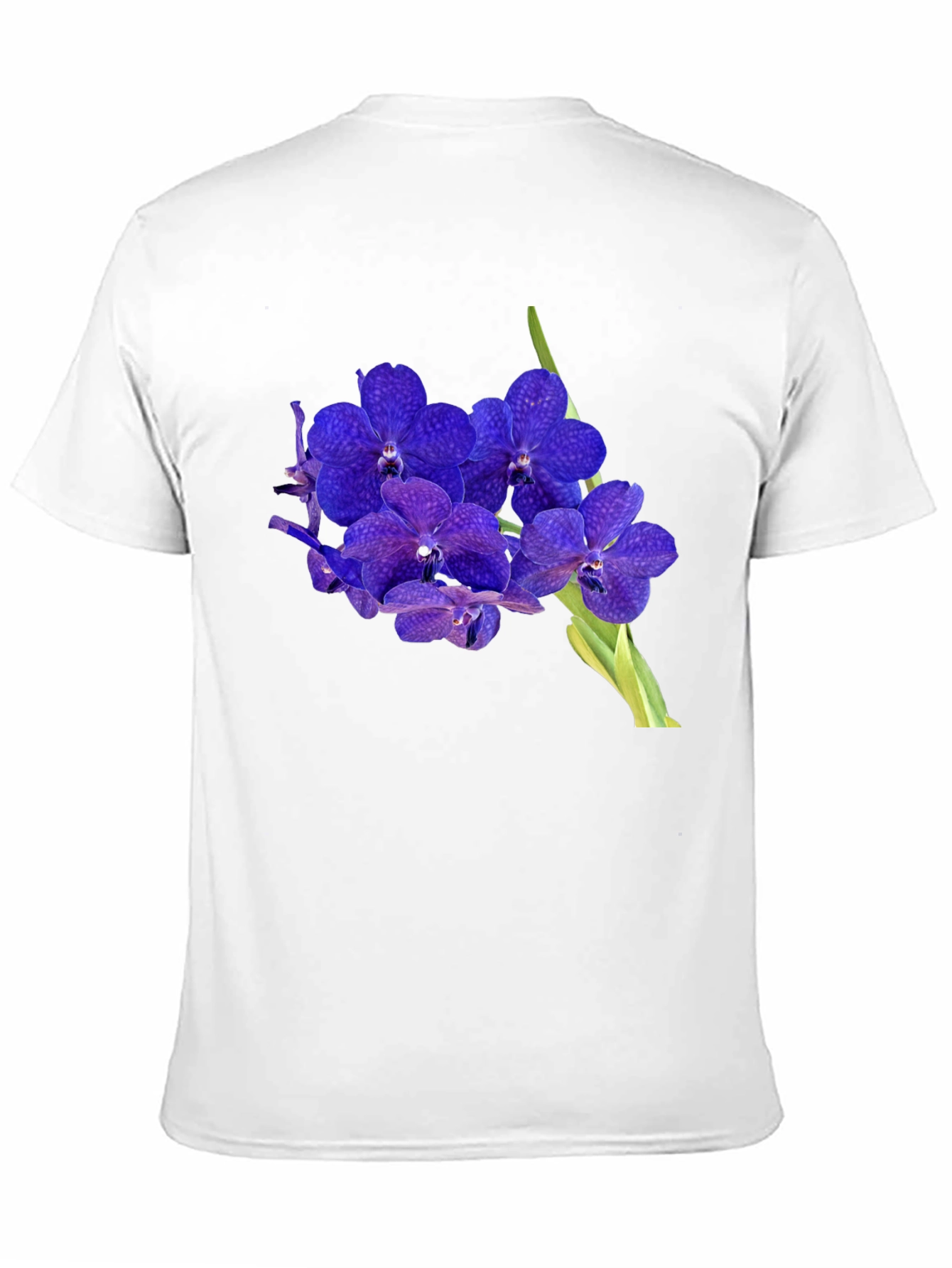 Blue Orchid Graphic Black T-Shirt