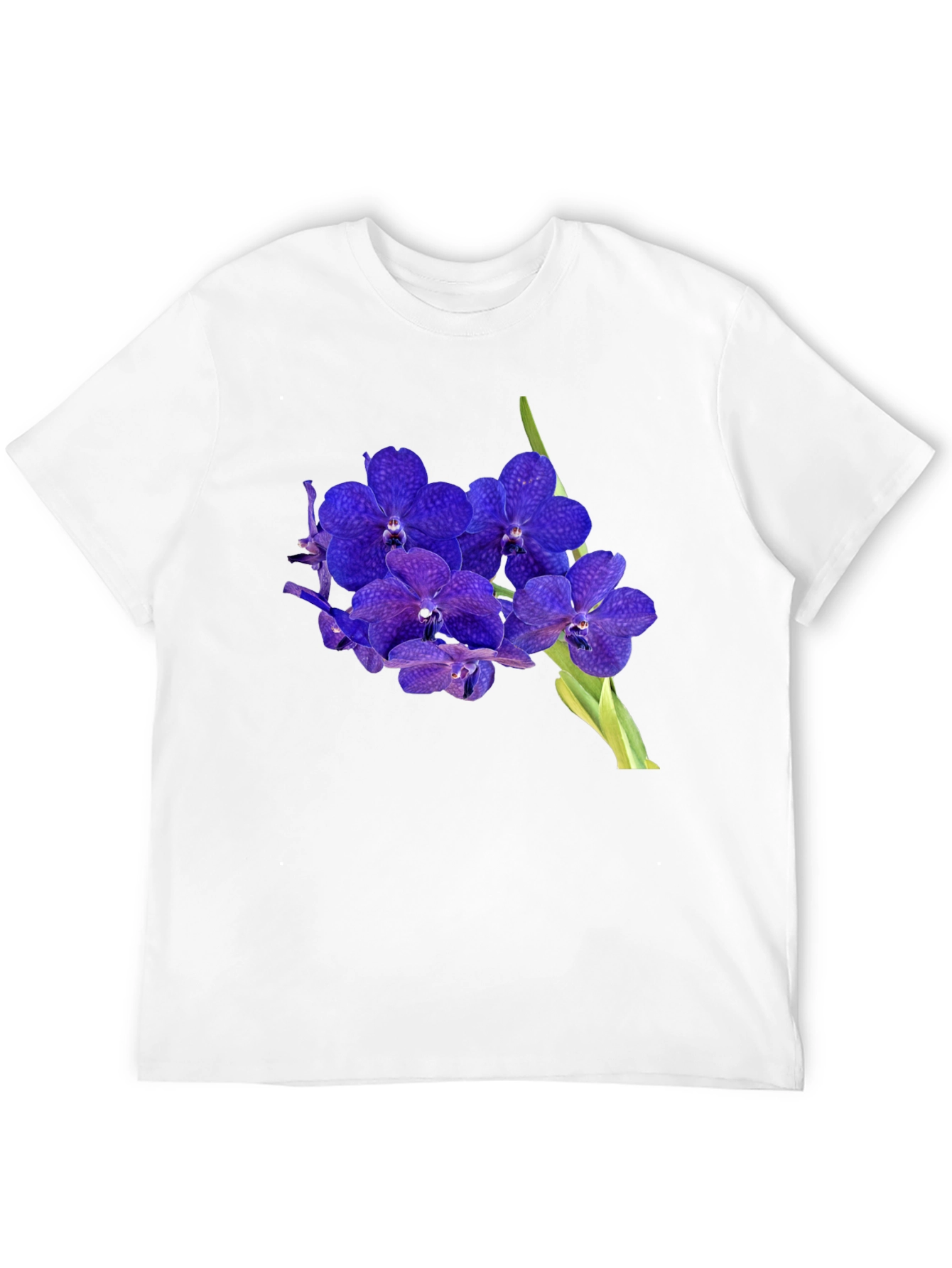 Blue Orchid Graphic Black T-Shirt
