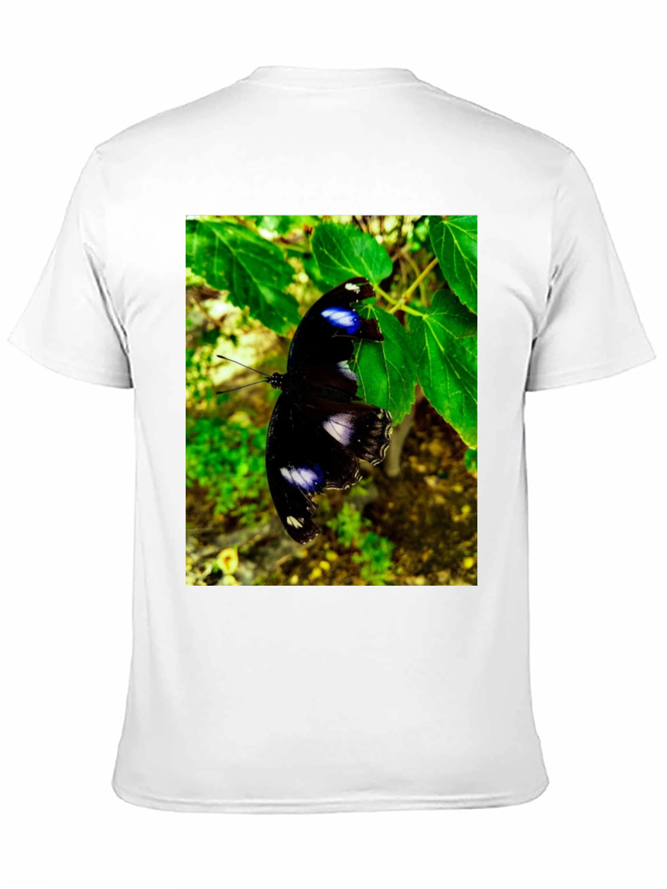 Butterfly Graphic T-Shirt - Black Nature Inspired