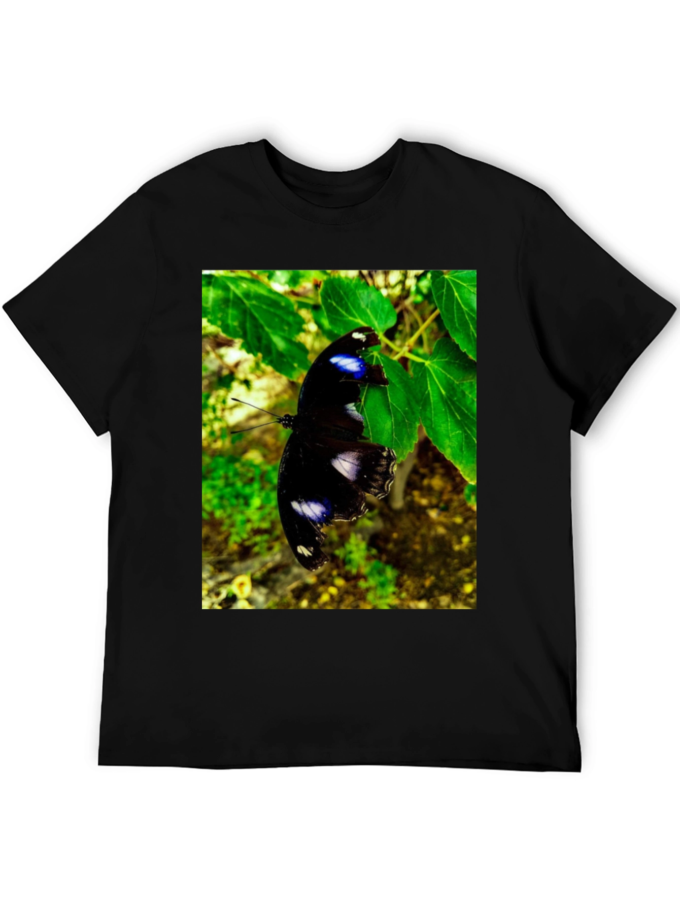 Butterfly Graphic T-Shirt - Black Nature Inspired