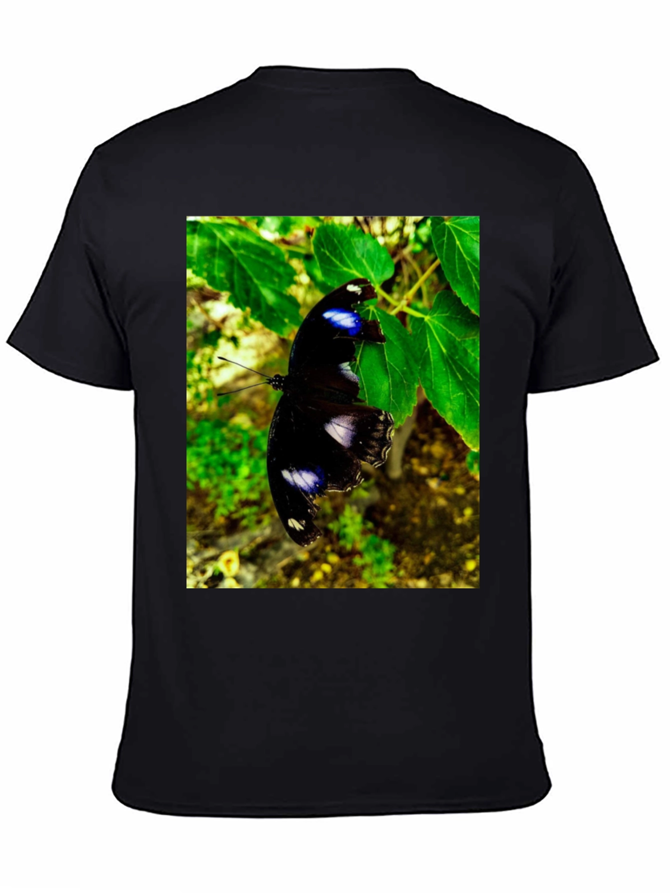 Butterfly Graphic T-Shirt - Black Nature Inspired