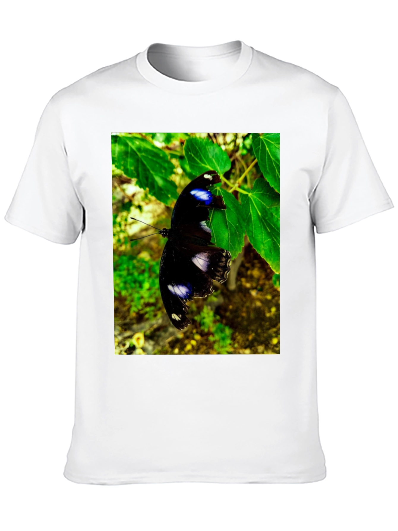 Butterfly Graphic T-Shirt - Black Nature Inspired