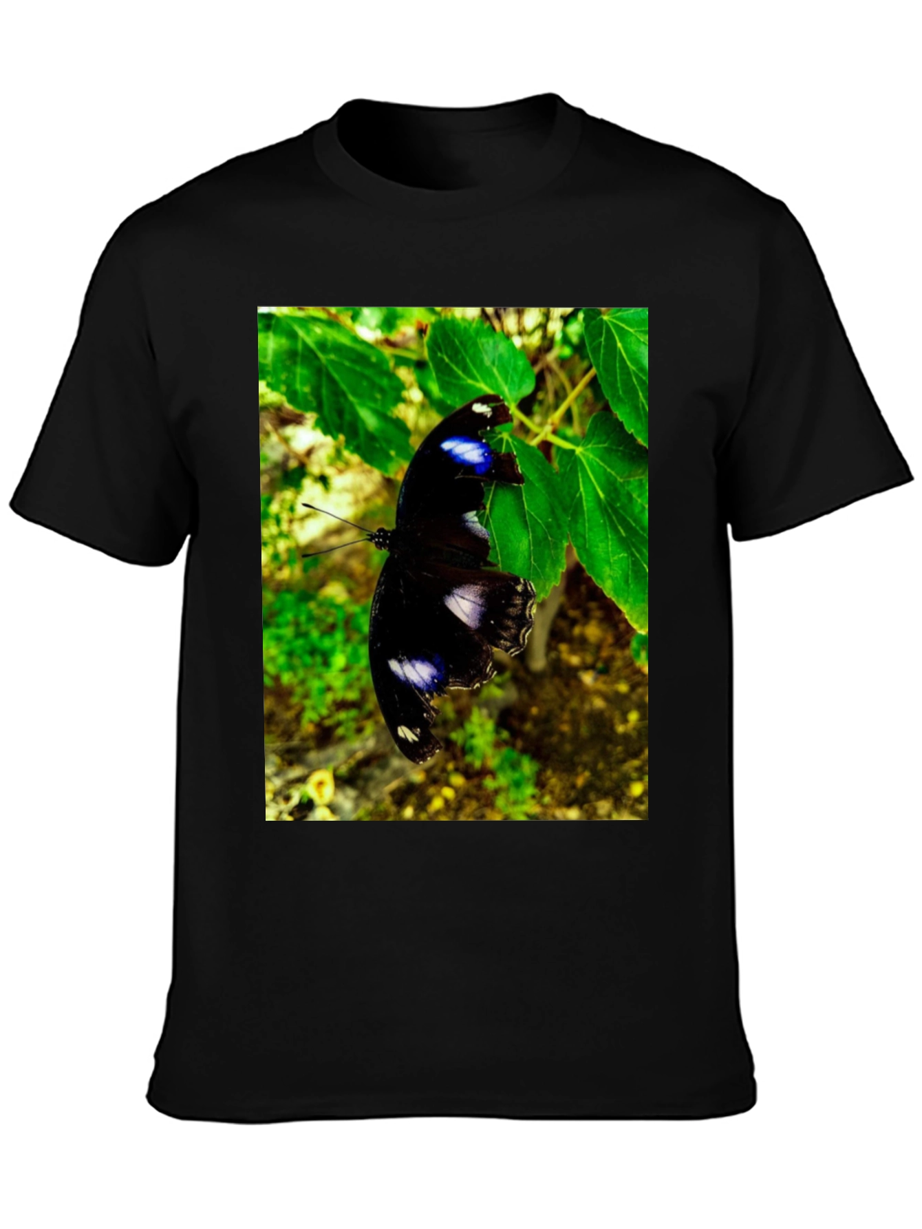 Butterfly Graphic T-Shirt - Black Nature Inspired