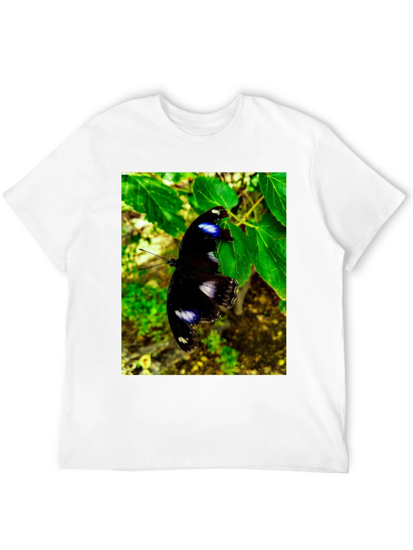 Butterfly Graphic T-Shirt - Black Nature Inspired