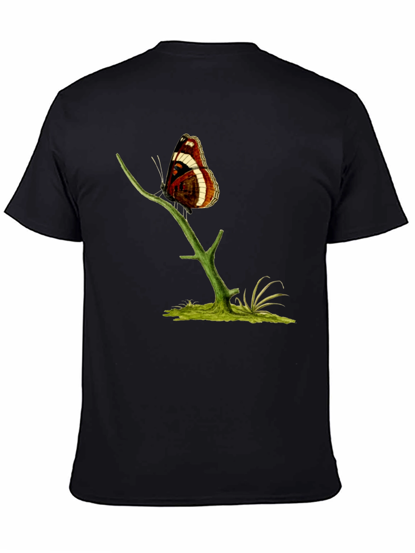 Butterfly on Branch Graphic T-Shirt