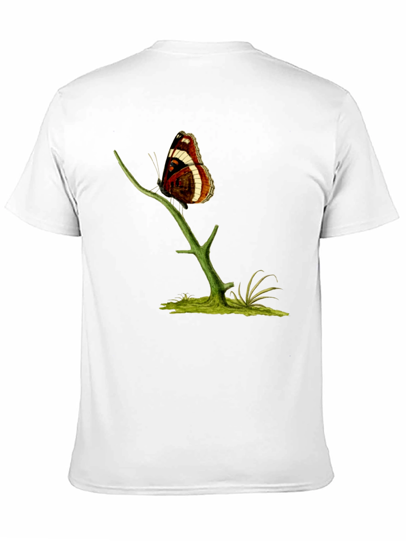 Butterfly on Branch Graphic T-Shirt