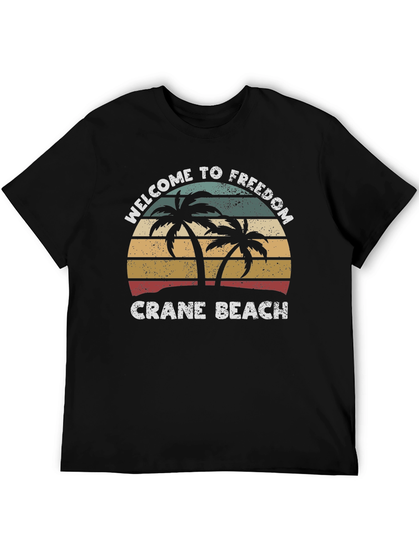 Crane Beach Welcome T-Shirt Retro Palm Tree Design