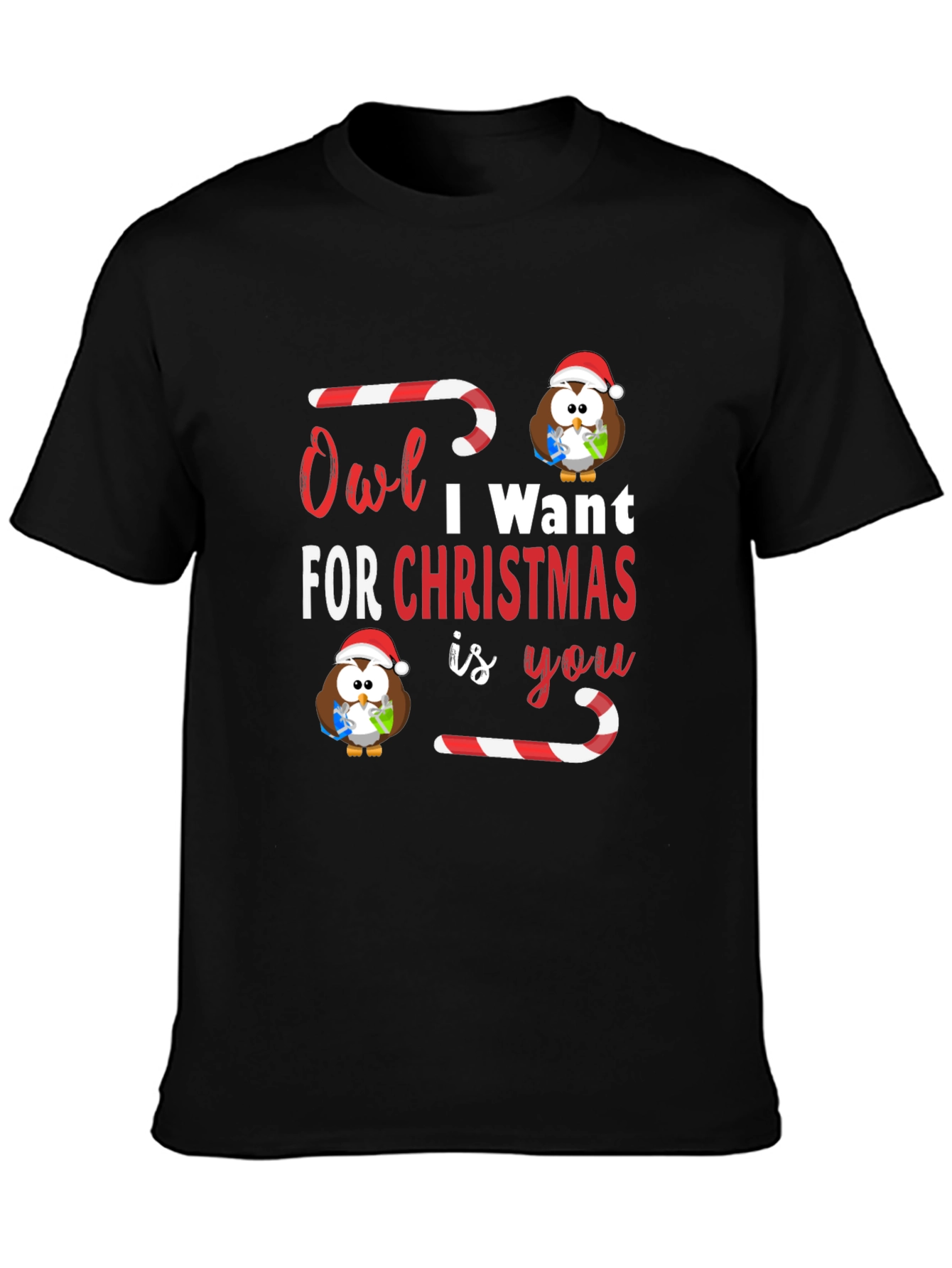 Owl I Want For Christmas T-Shirt