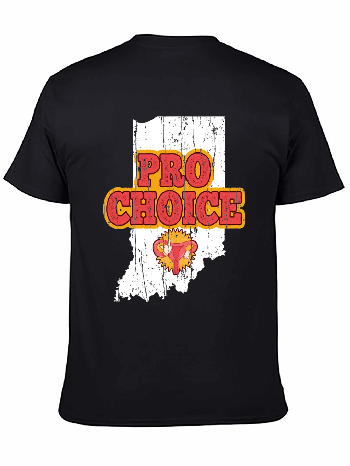 Pro Choice Indiana Womens Rights Graphic Tee