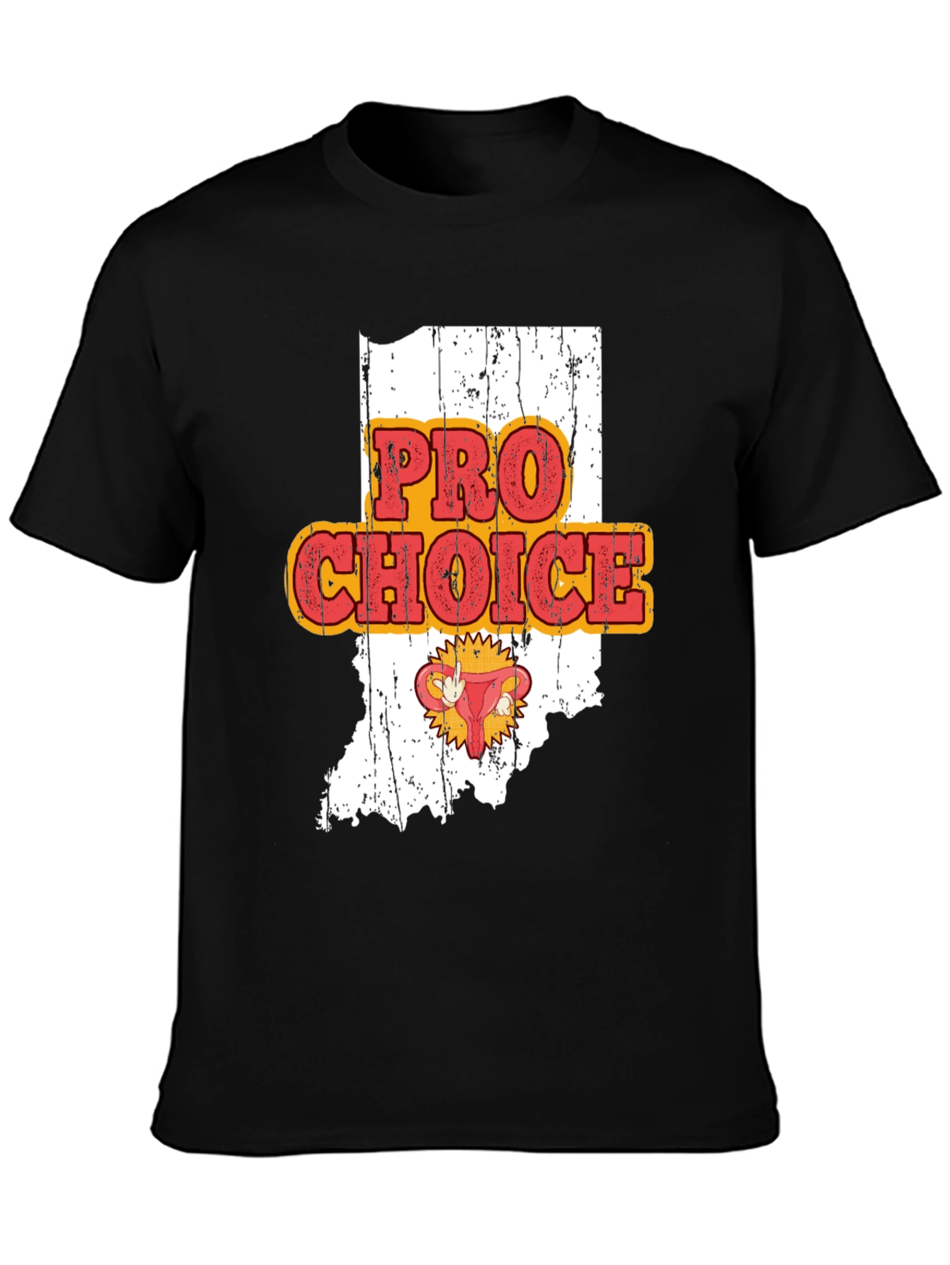 Pro Choice Indiana Womens Rights Graphic Tee