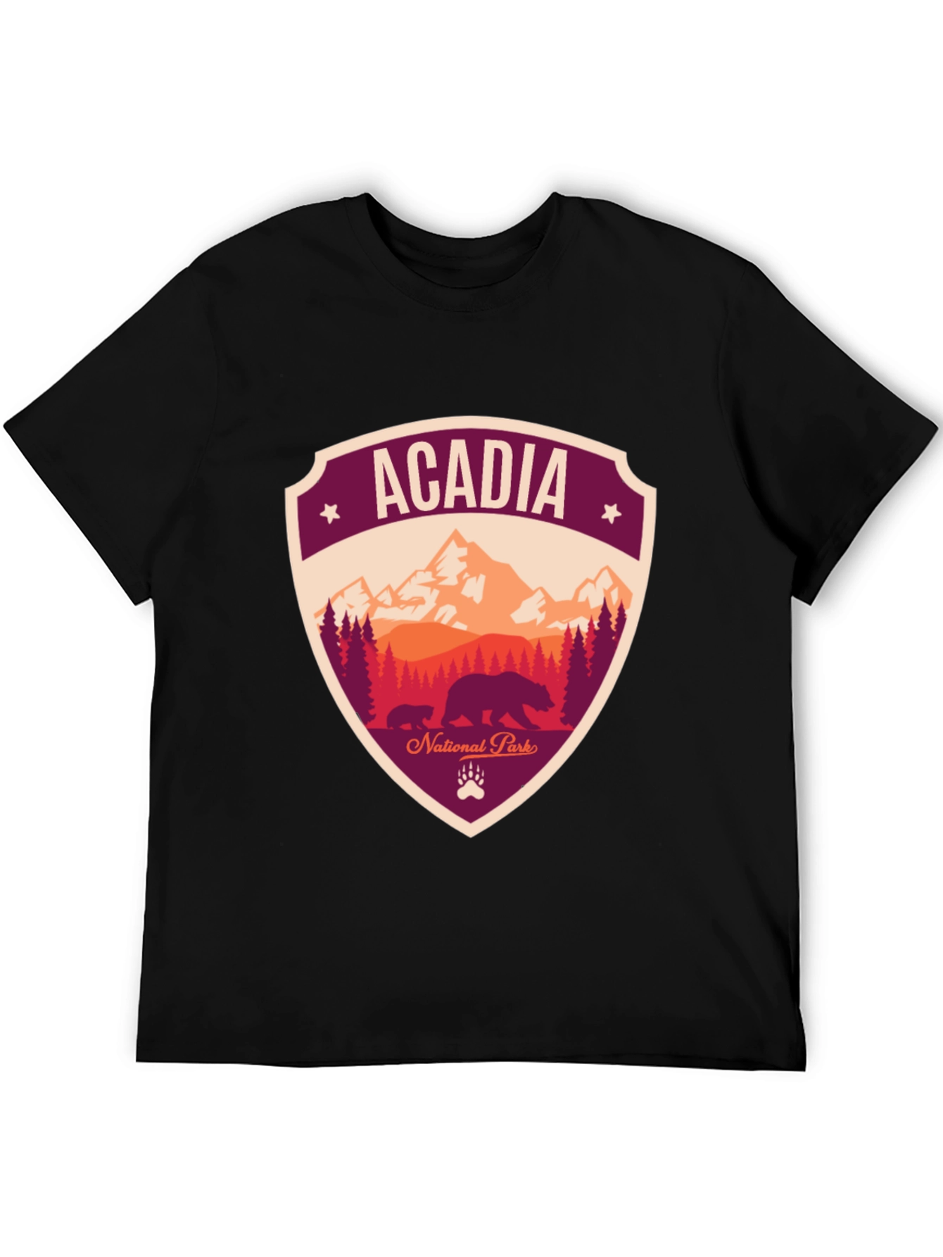 Acadia National Park Graphic Tee