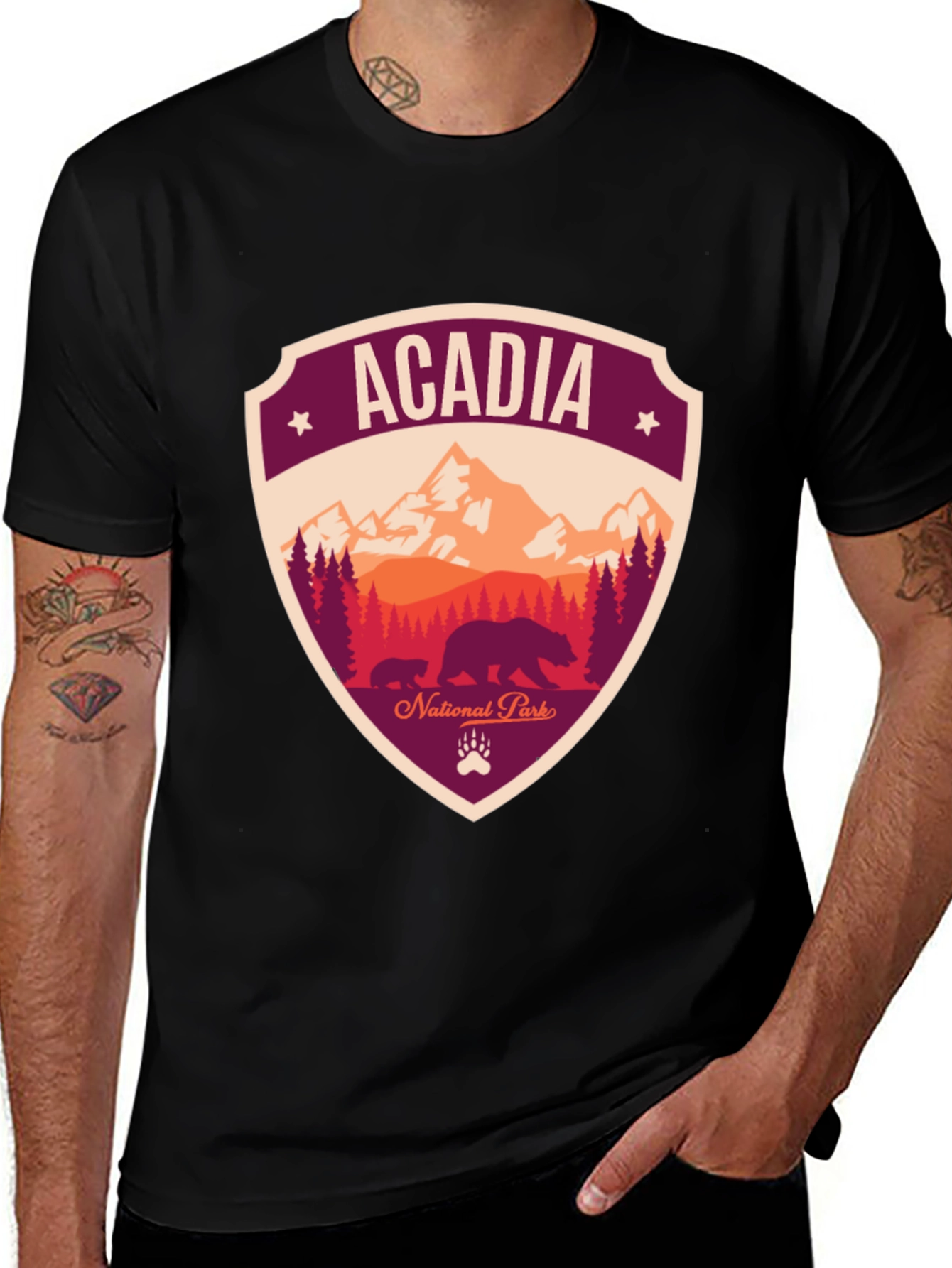 Acadia National Park Graphic Tee