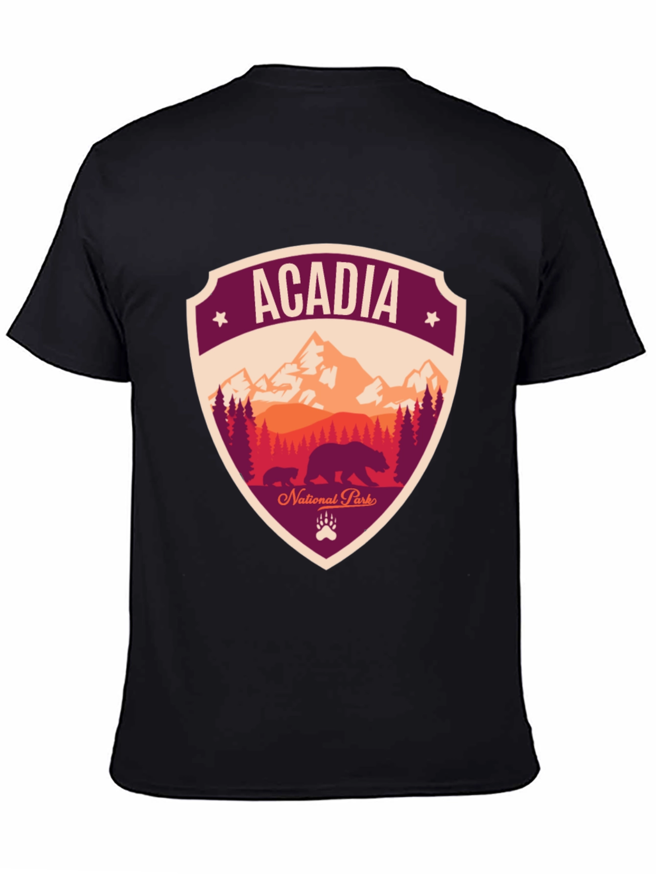Acadia National Park Graphic Tee