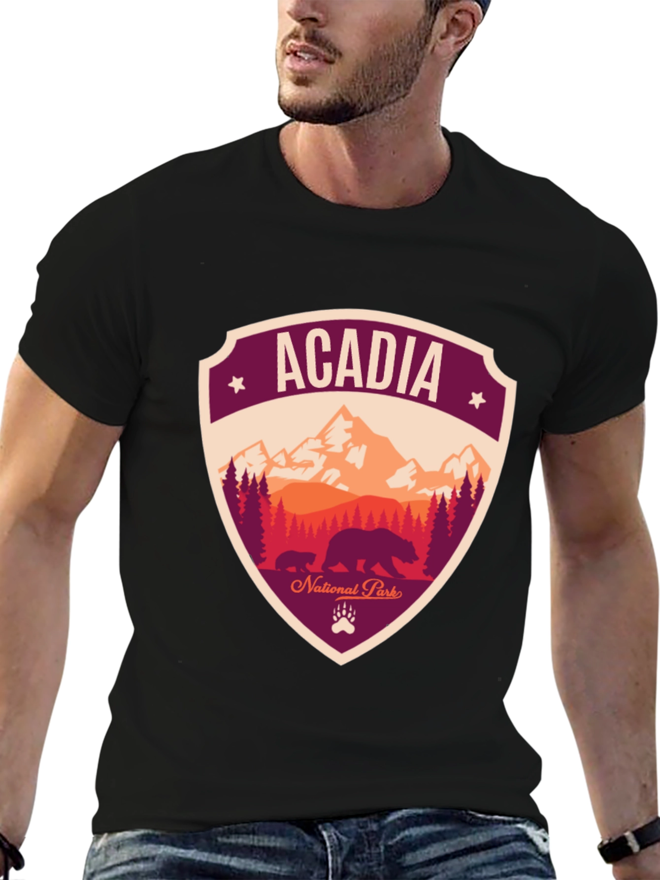 Acadia National Park Graphic Tee