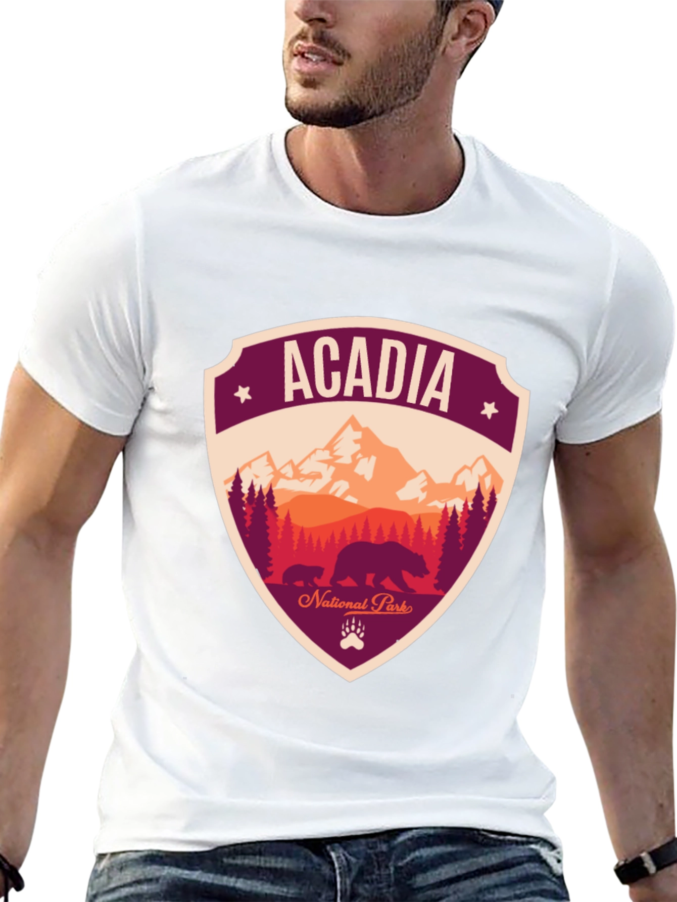 Acadia National Park Graphic Tee
