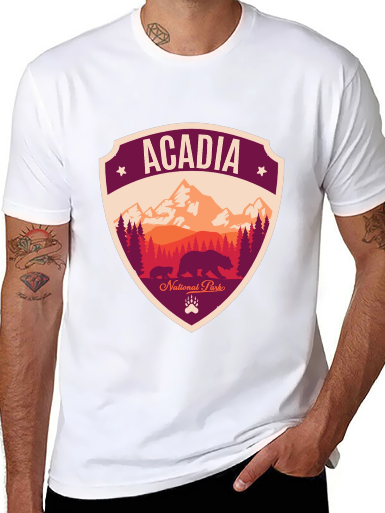 Acadia National Park Graphic Tee