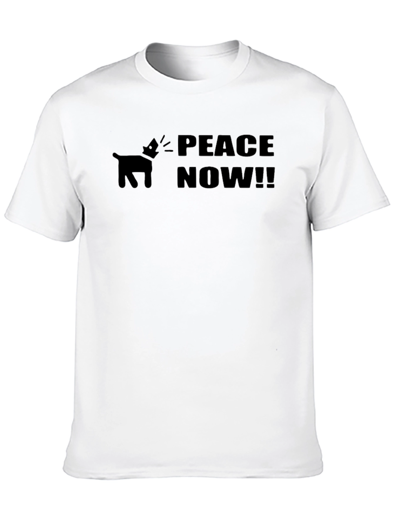 Peace Now Graphic T-Shirt