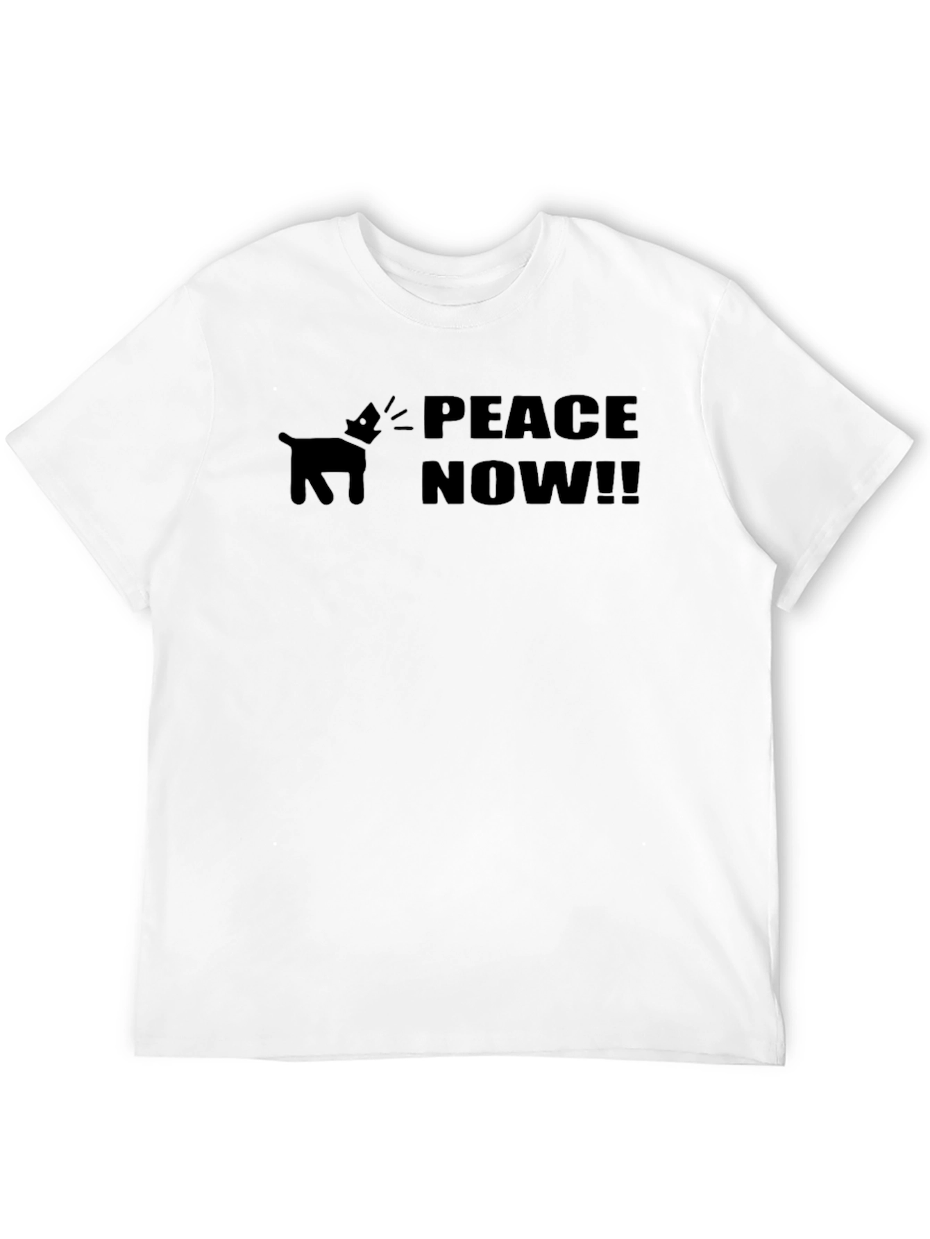 Peace Now Graphic T-Shirt