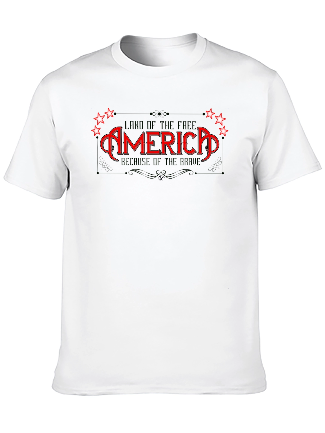 America Land of the Free Graphic T-Shirt