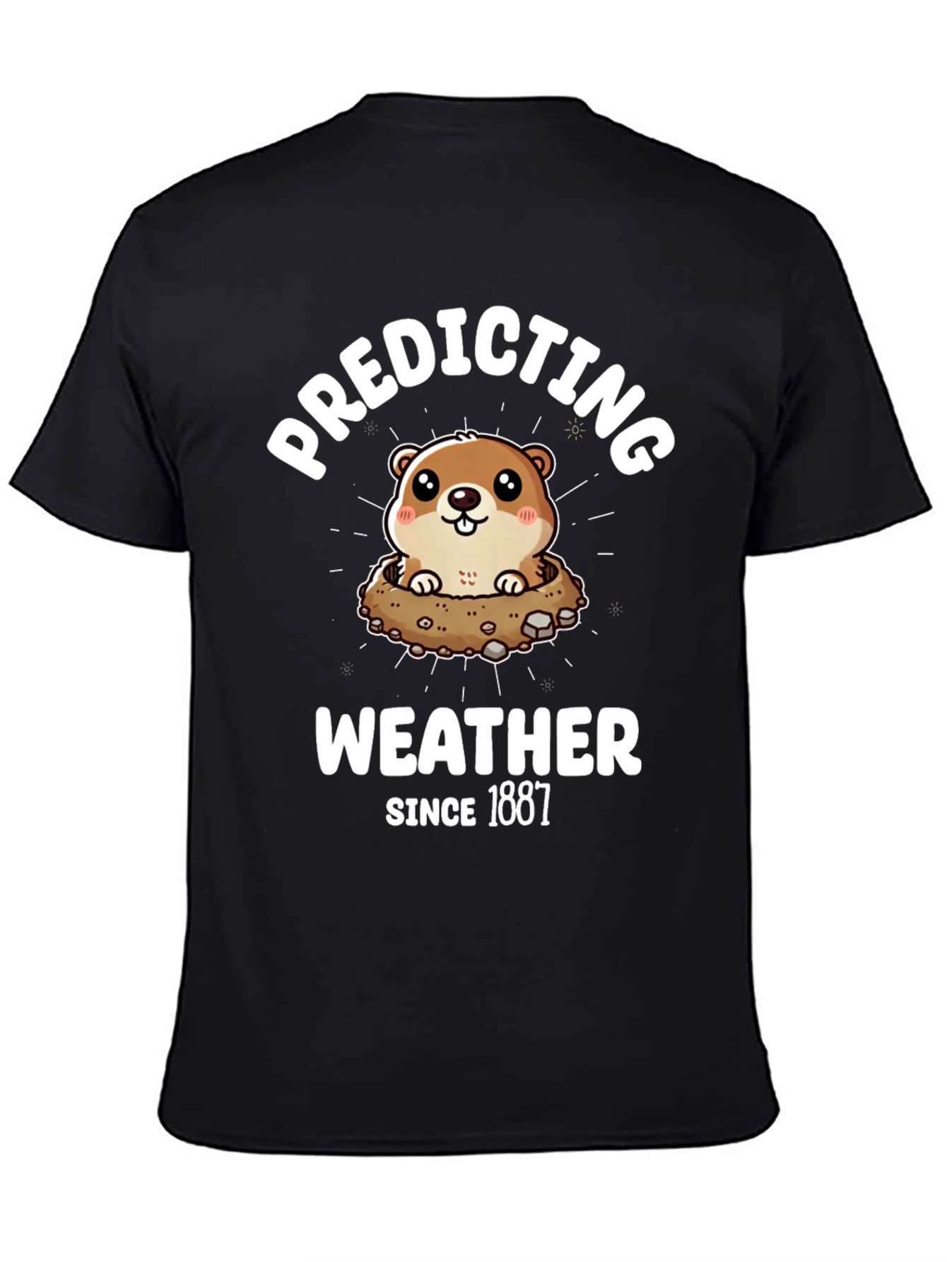 Predicting Weather Since 1887 T-Shirt