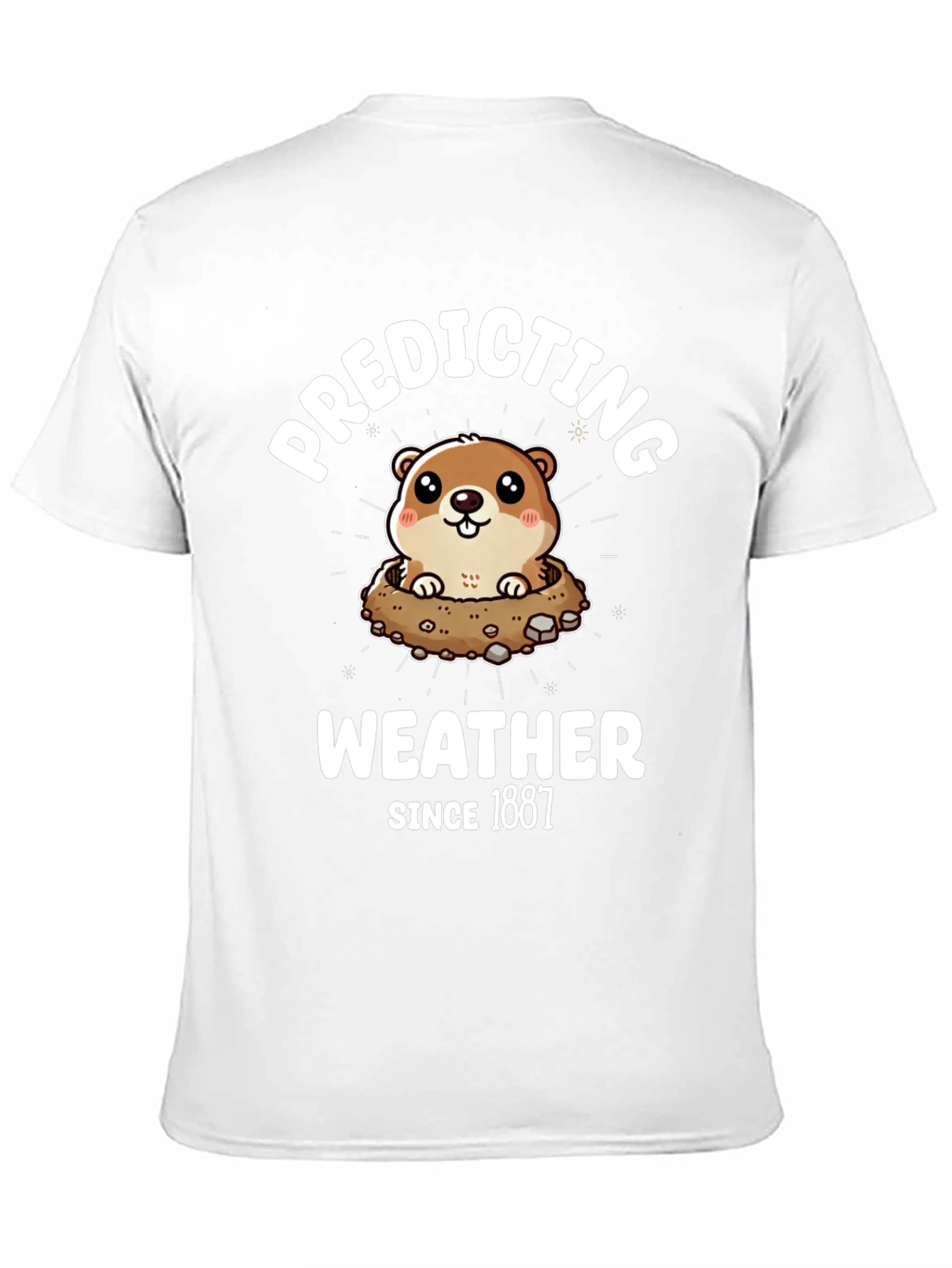 Predicting Weather Since 1887 T-Shirt