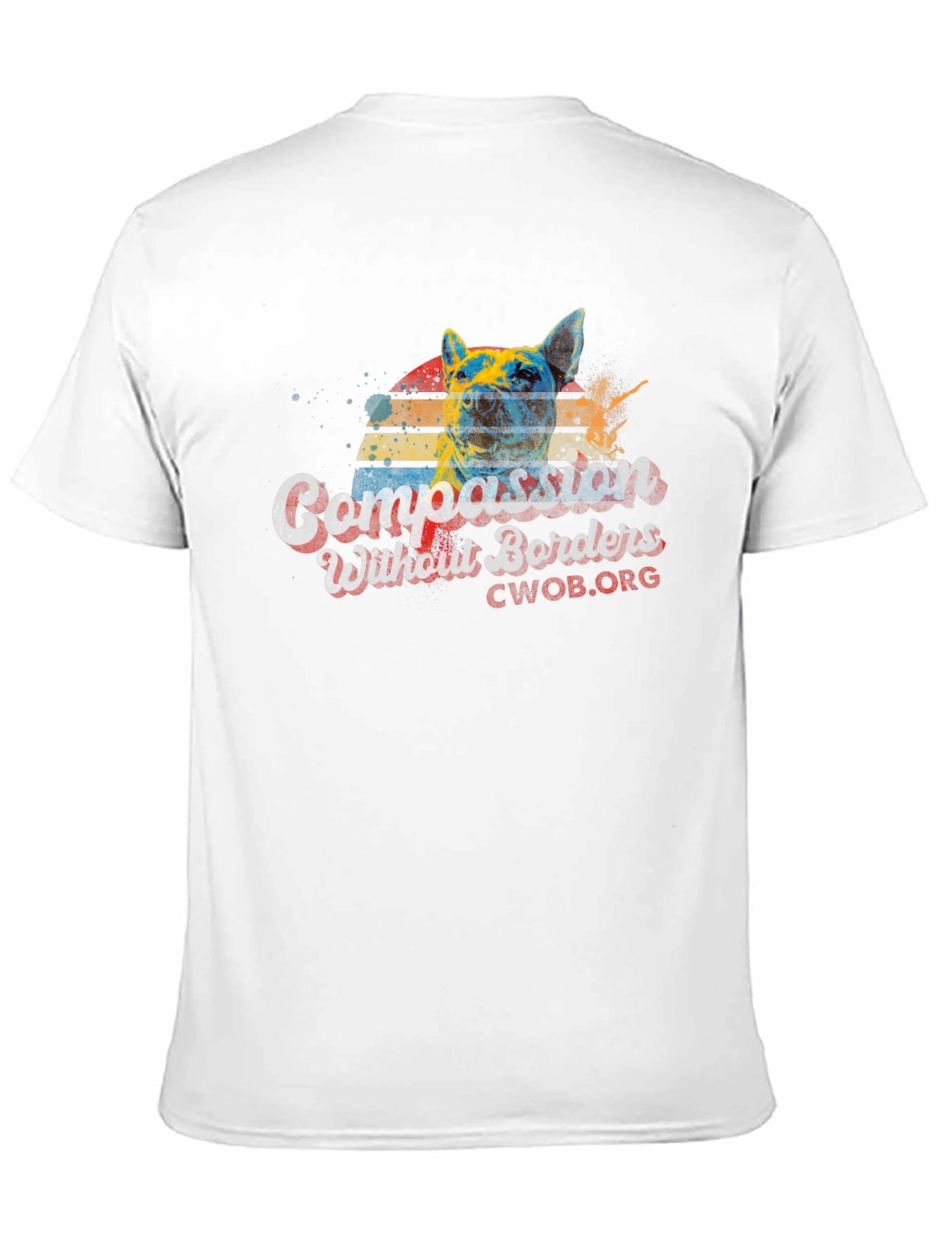 Compassion Without Borders Graphic Tee