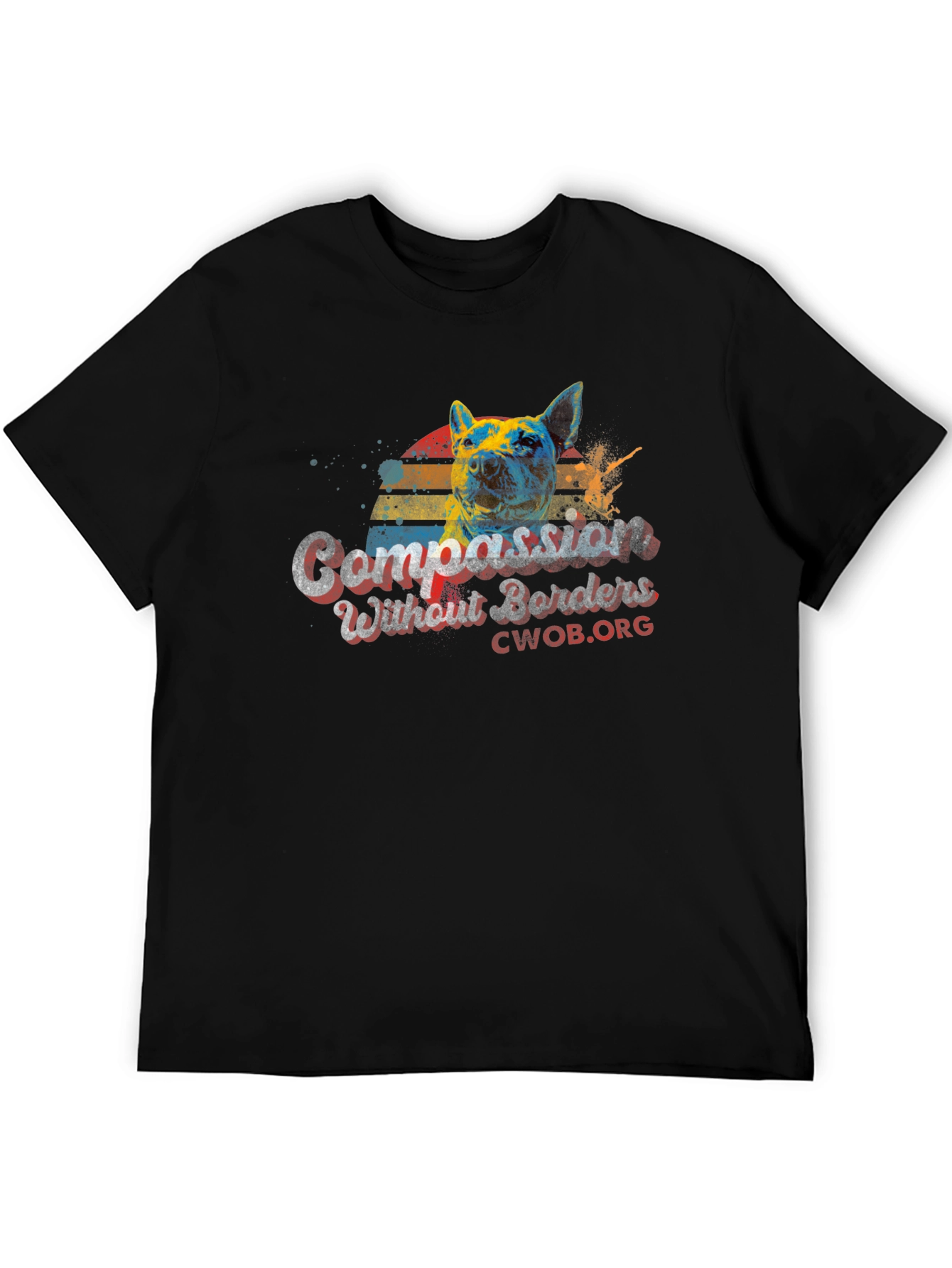 Compassion Without Borders Graphic Tee