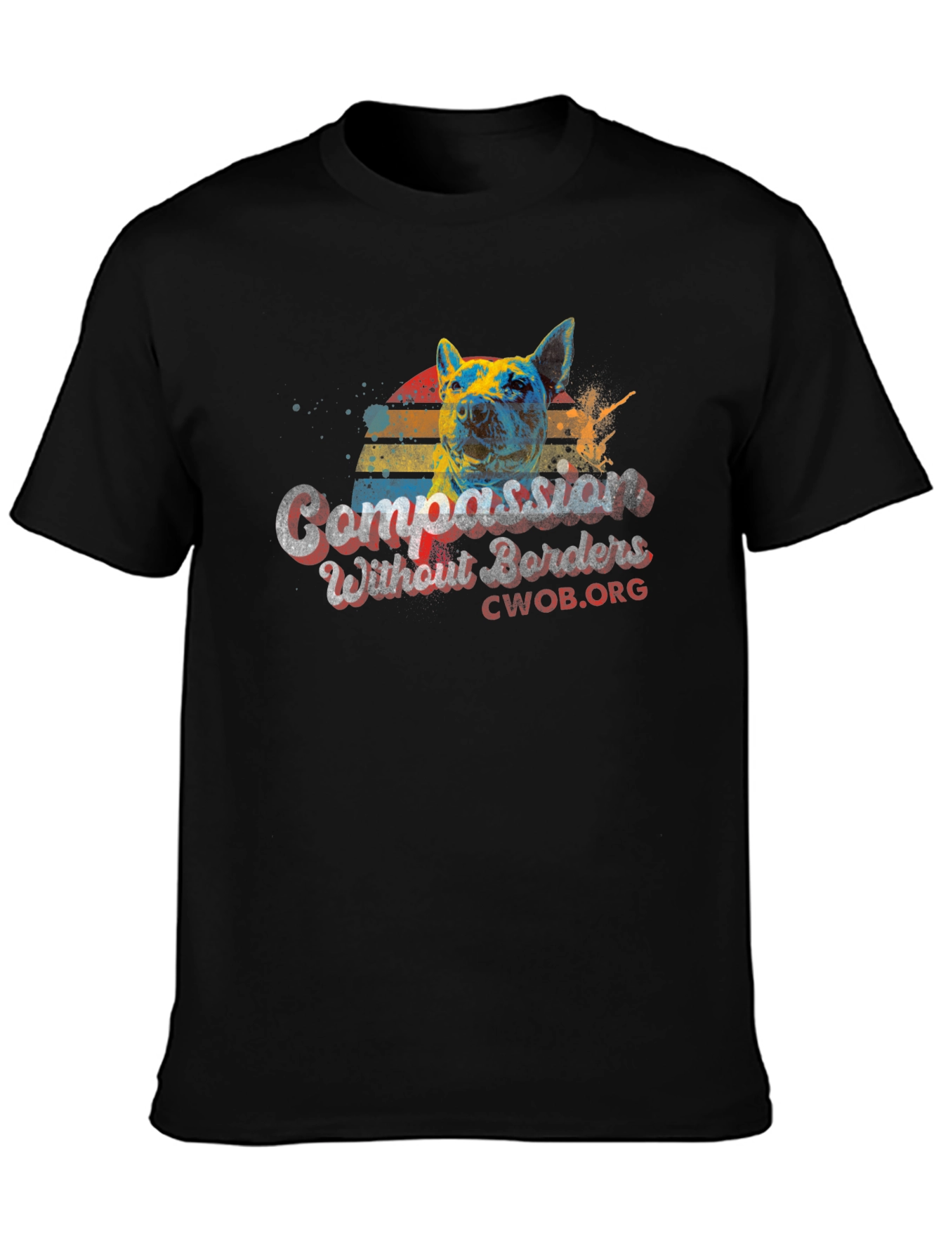 Compassion Without Borders Graphic Tee