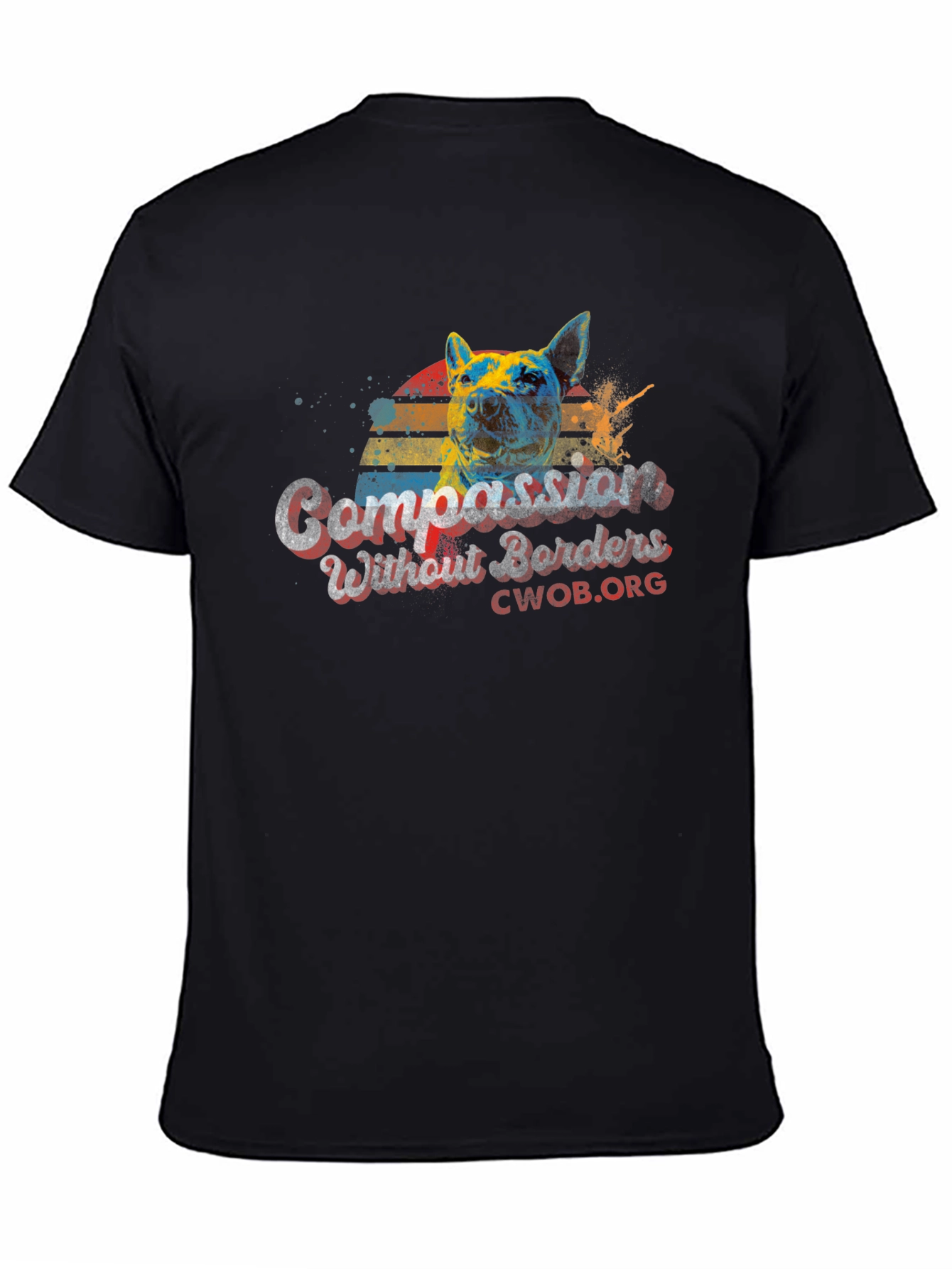 Compassion Without Borders Graphic Tee