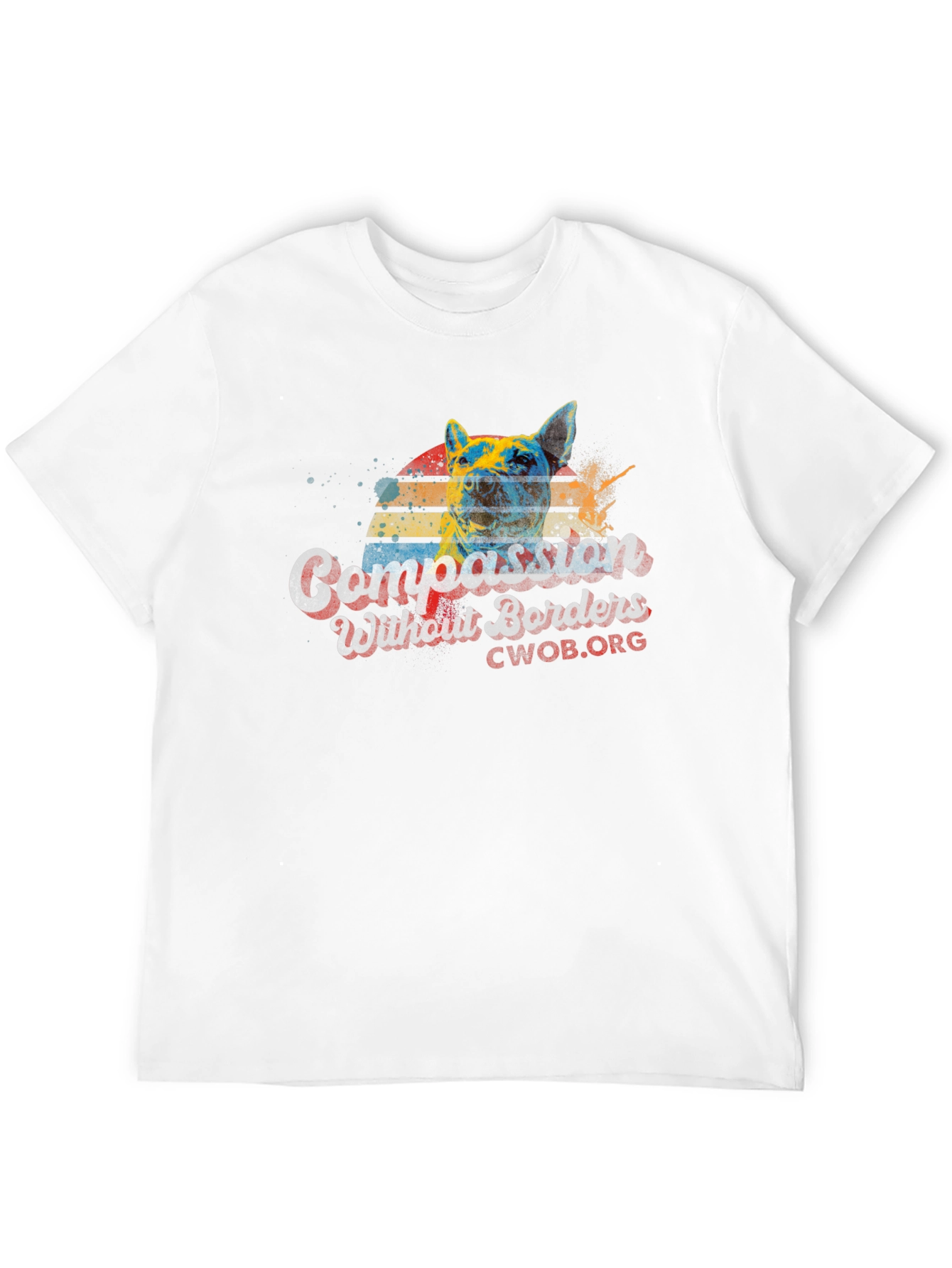 Compassion Without Borders Graphic Tee