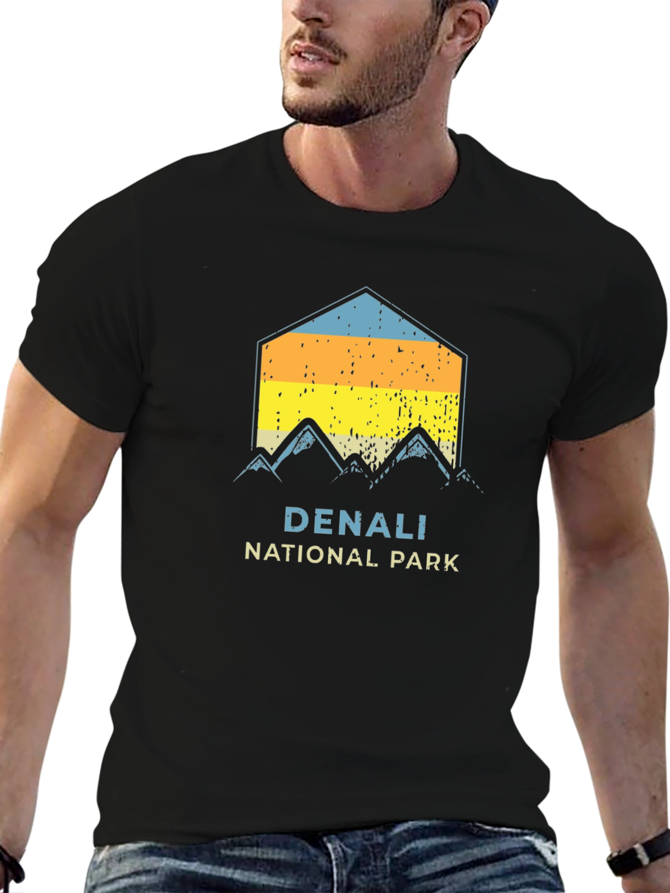 Denali National Park Graphic Tee - Black