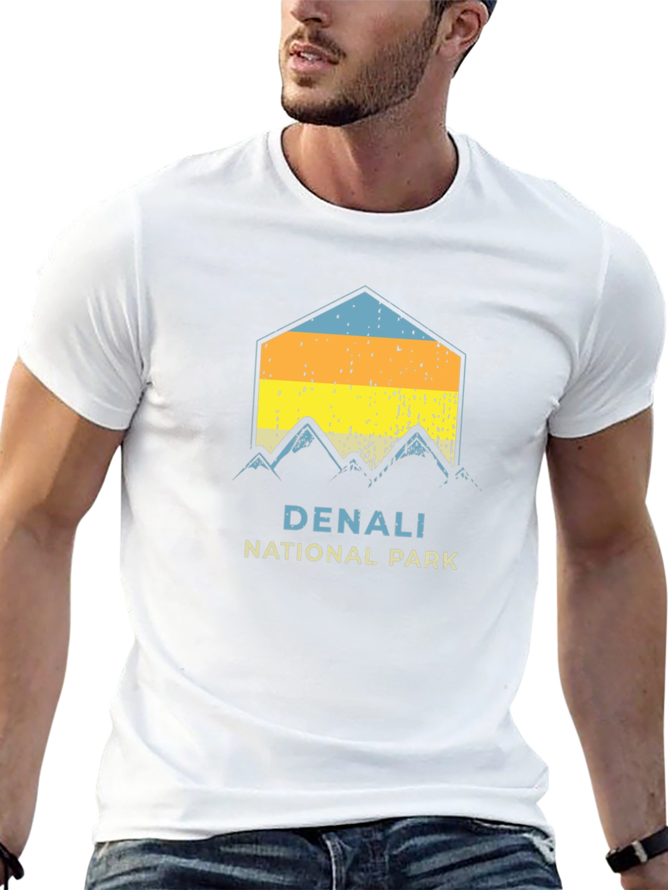 Denali National Park Graphic Tee - Black