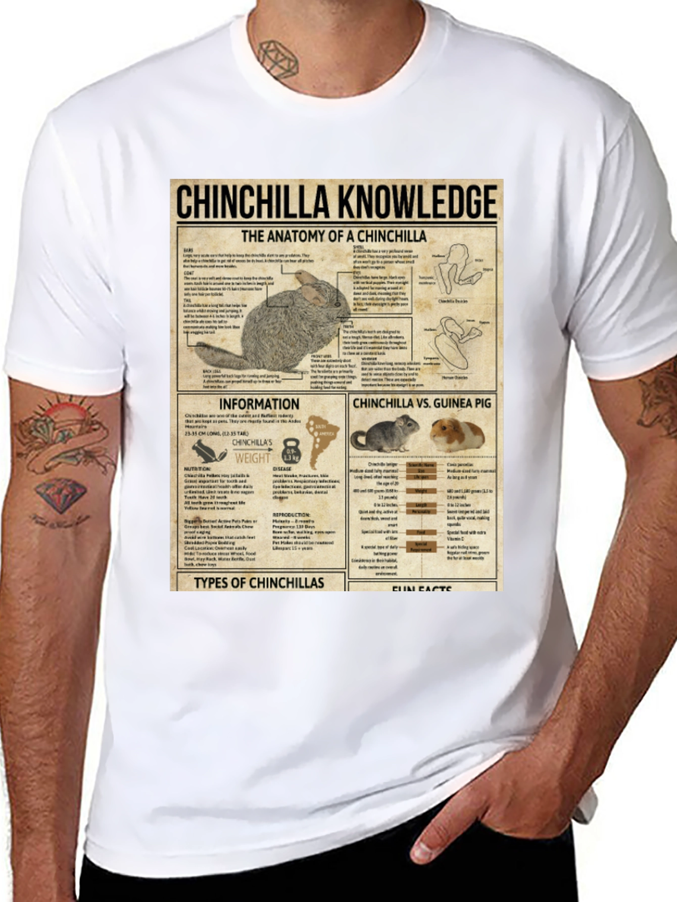 Chinchilla Knowledge T-Shirt