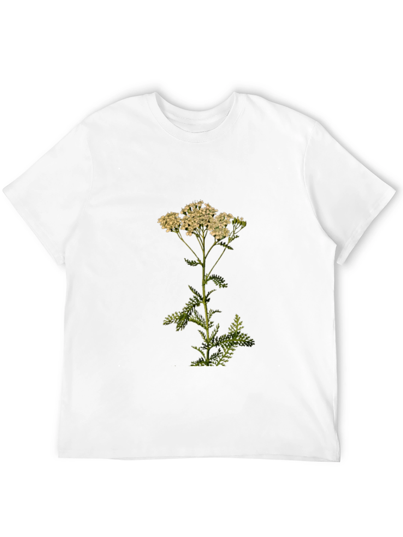 Botanical Print Tee - Achillea Yarrow Flower Shirt