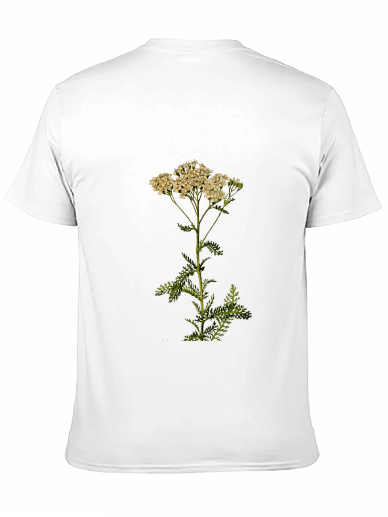 Botanical Print Tee - Achillea Yarrow Flower Shirt