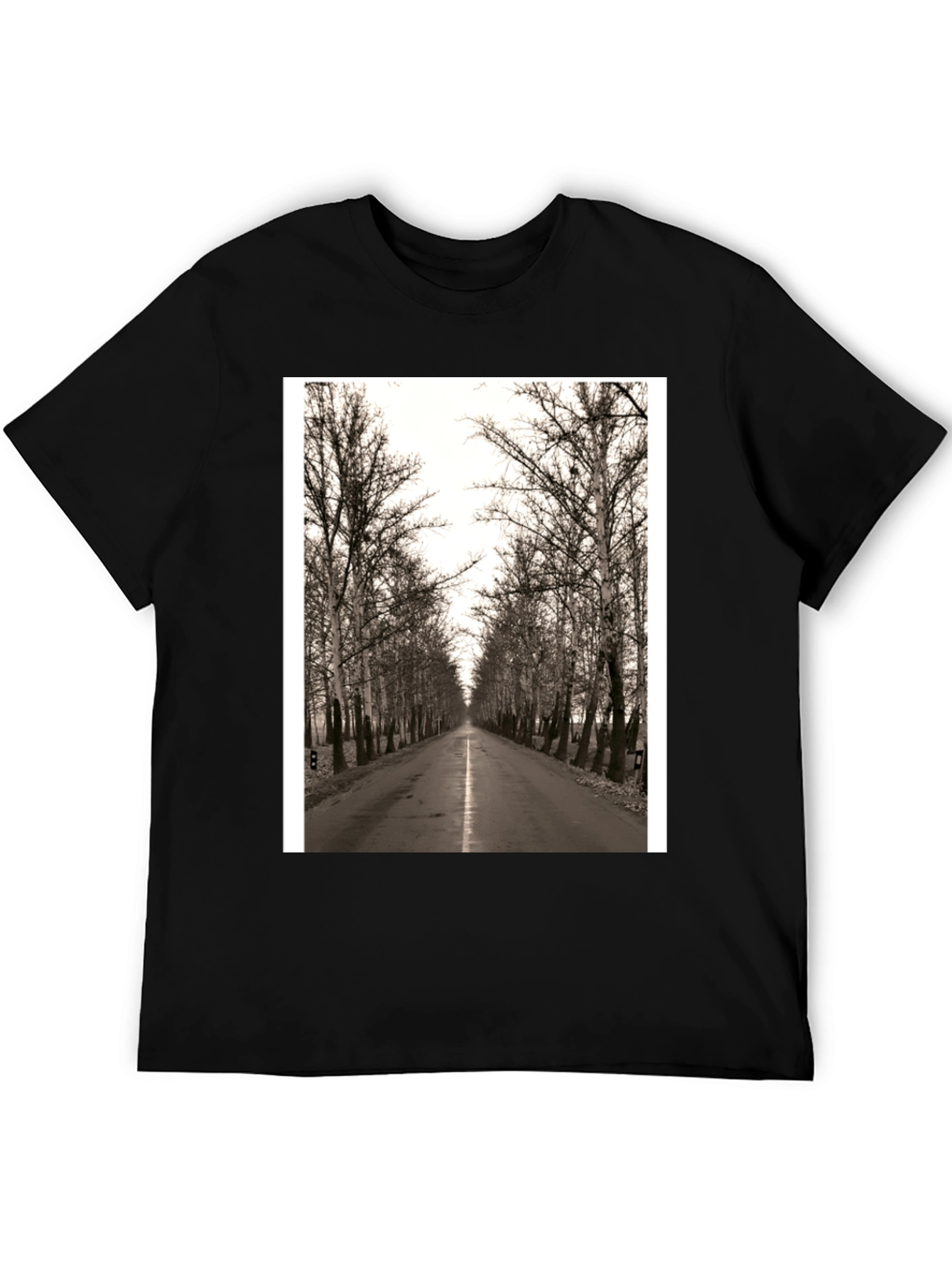 Road Through Trees Graphic T-Shirt - Black