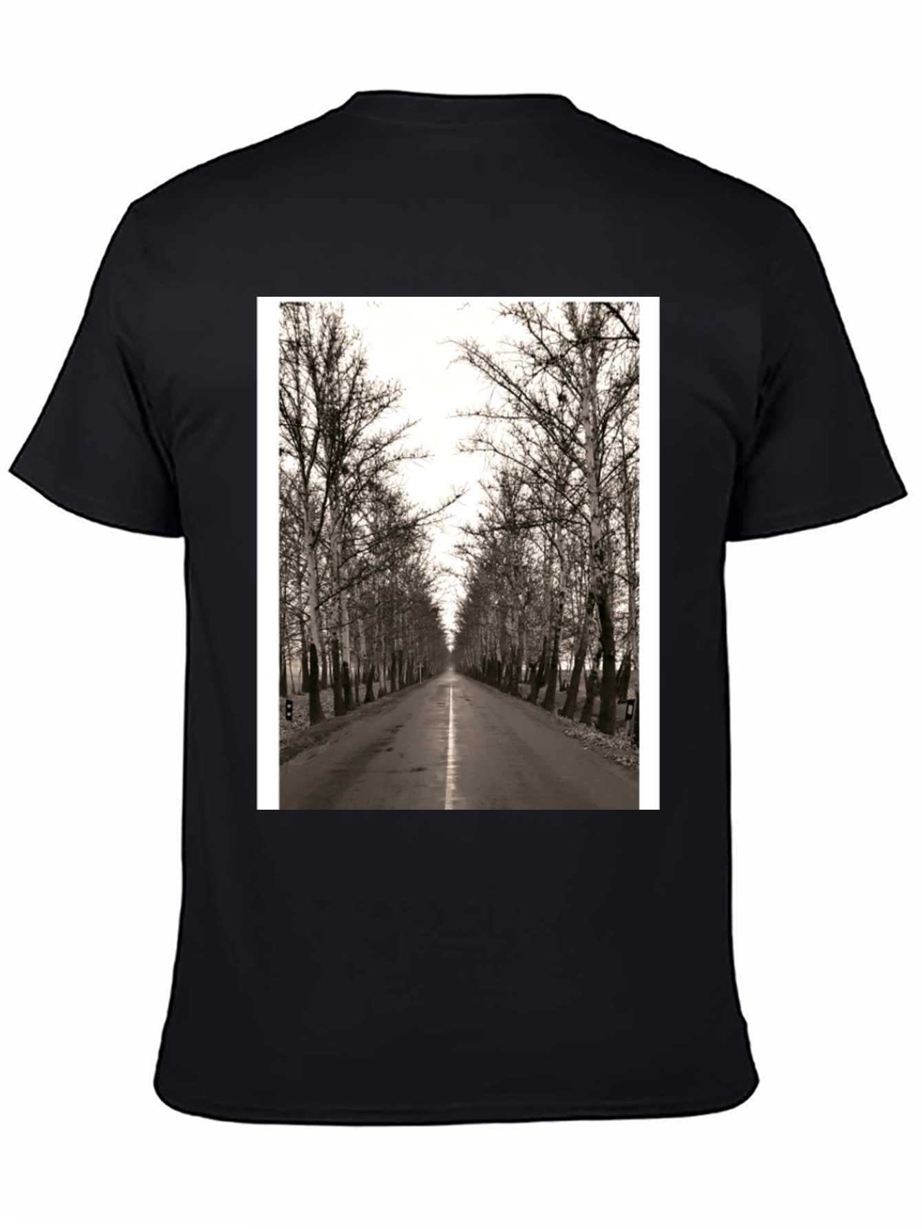 Road Through Trees Graphic T-Shirt - Black