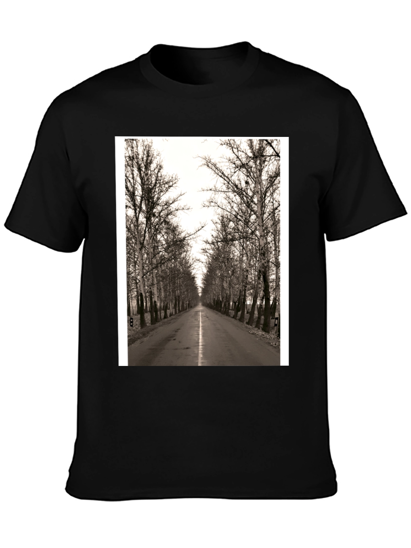 Road Through Trees Graphic T-Shirt - Black