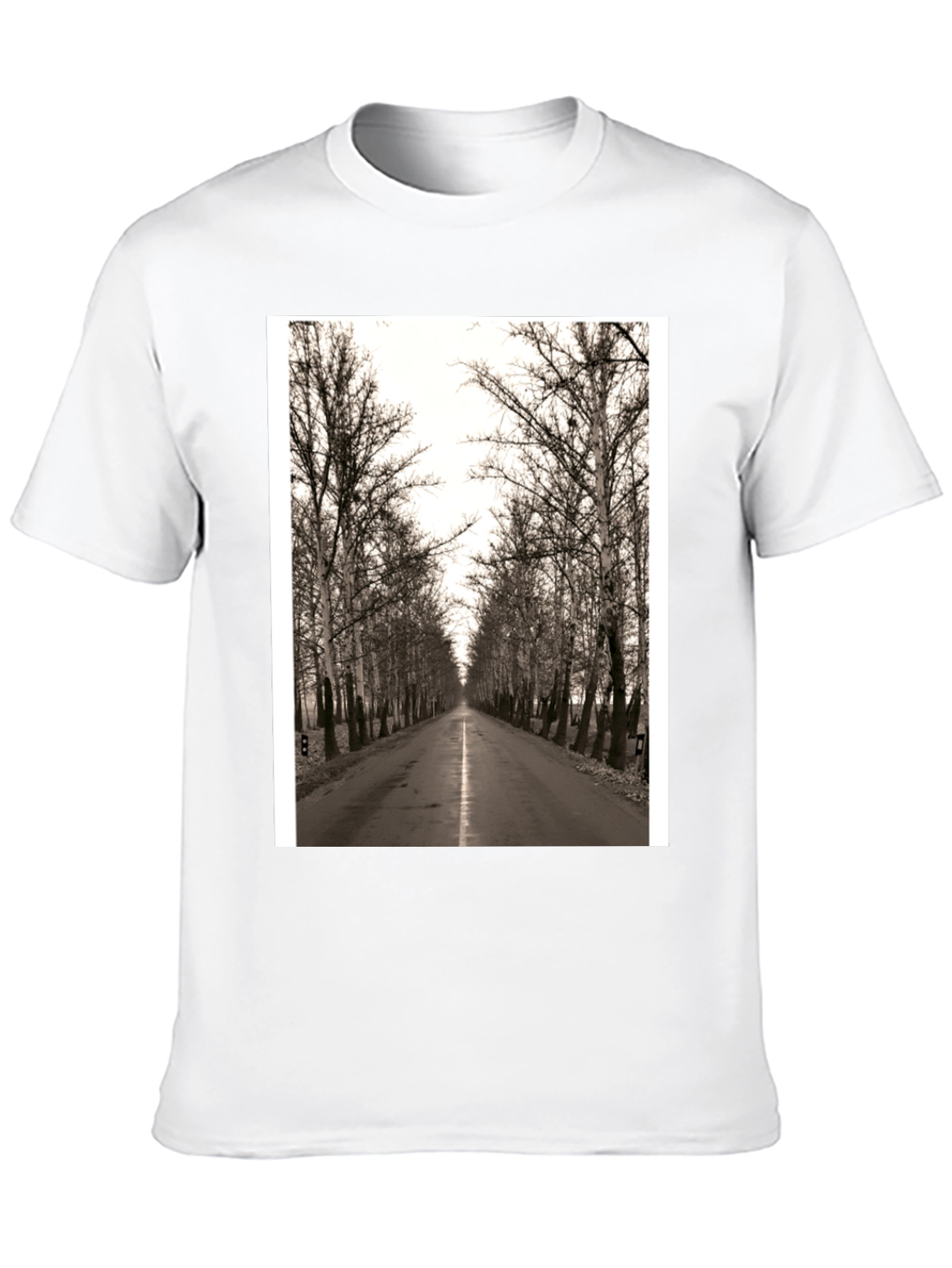 Road Through Trees Graphic T-Shirt - Black