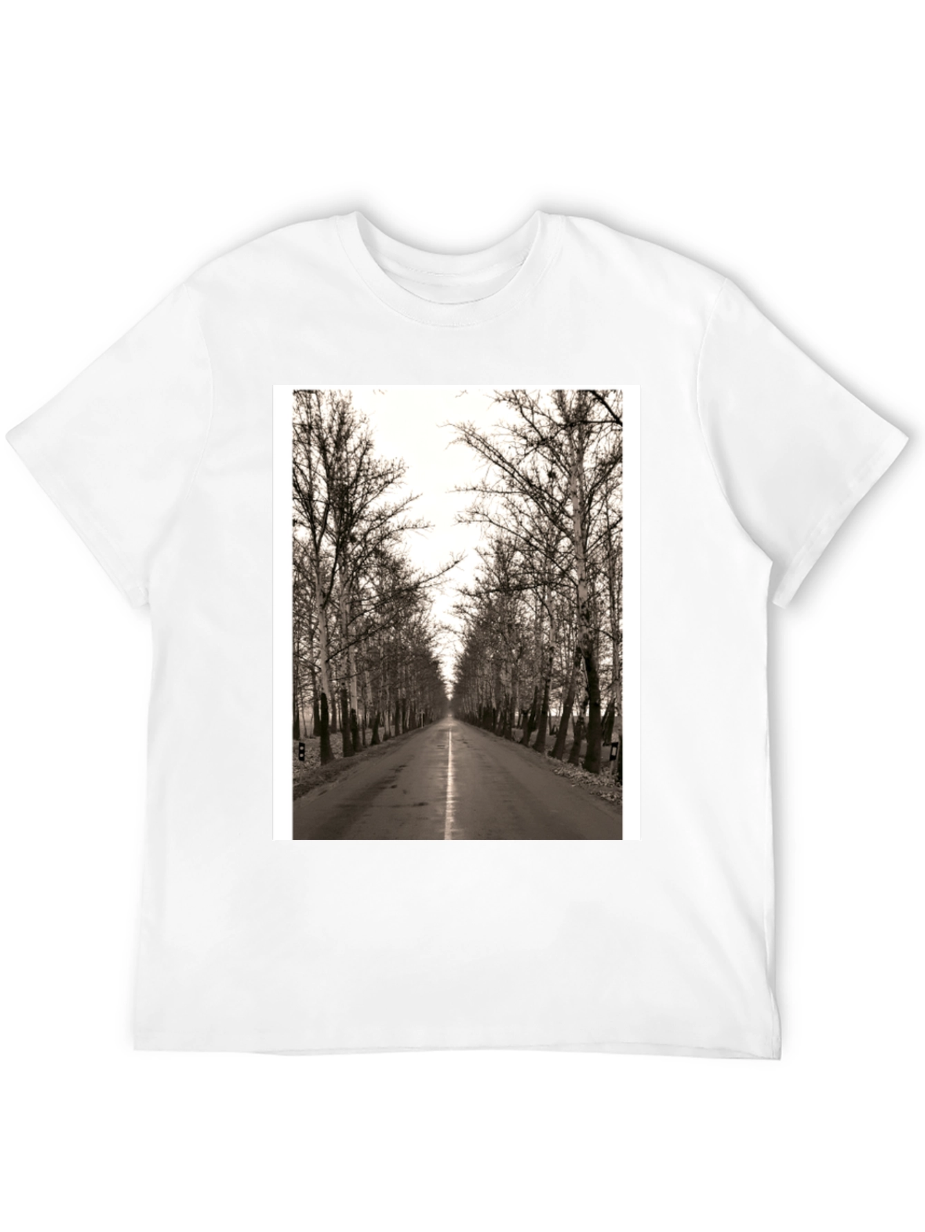 Road Through Trees Graphic T-Shirt - Black