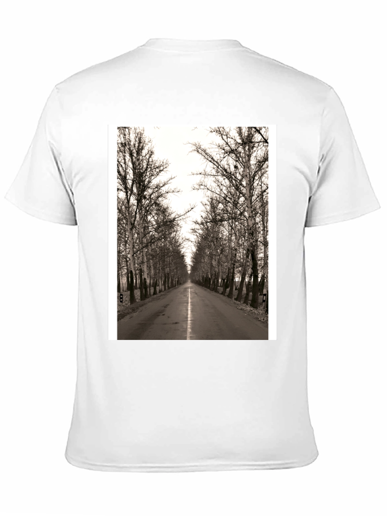 Road Through Trees Graphic T-Shirt - Black