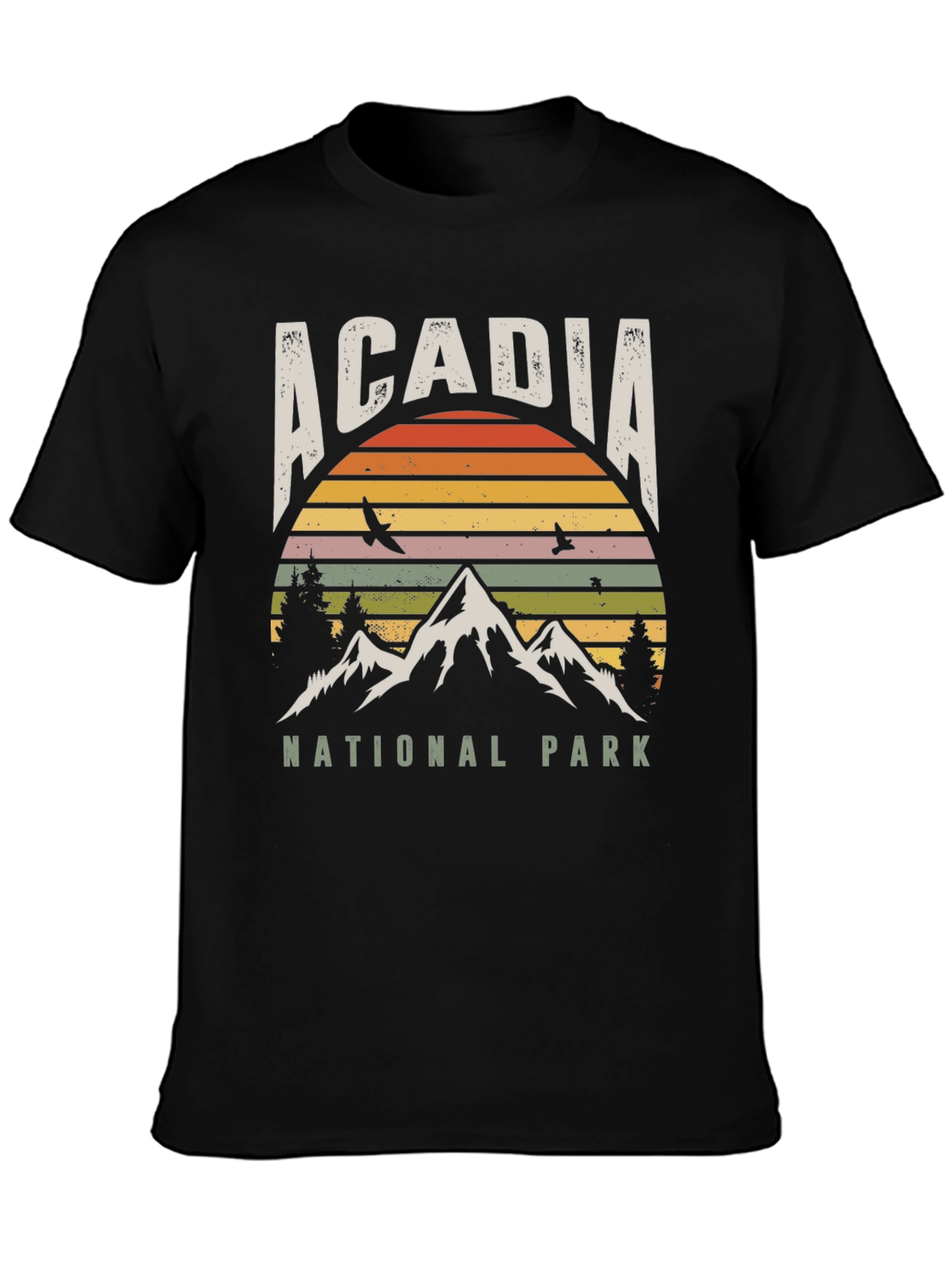 Acadia National Park Retro T-Shirt