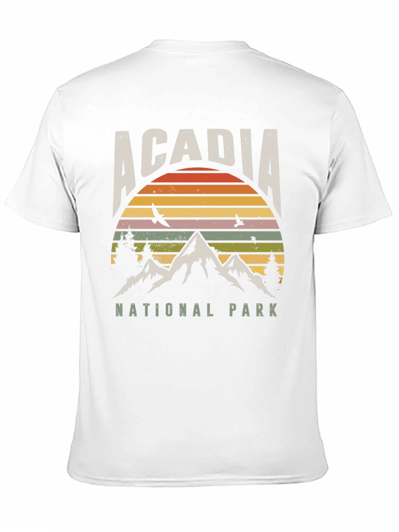 Acadia National Park Retro T-Shirt