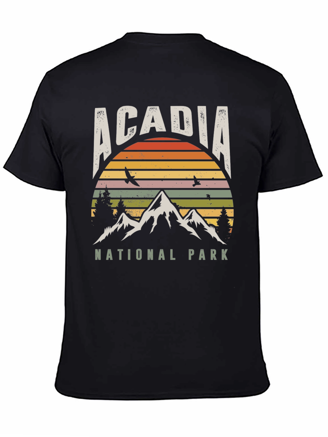 Acadia National Park Retro T-Shirt