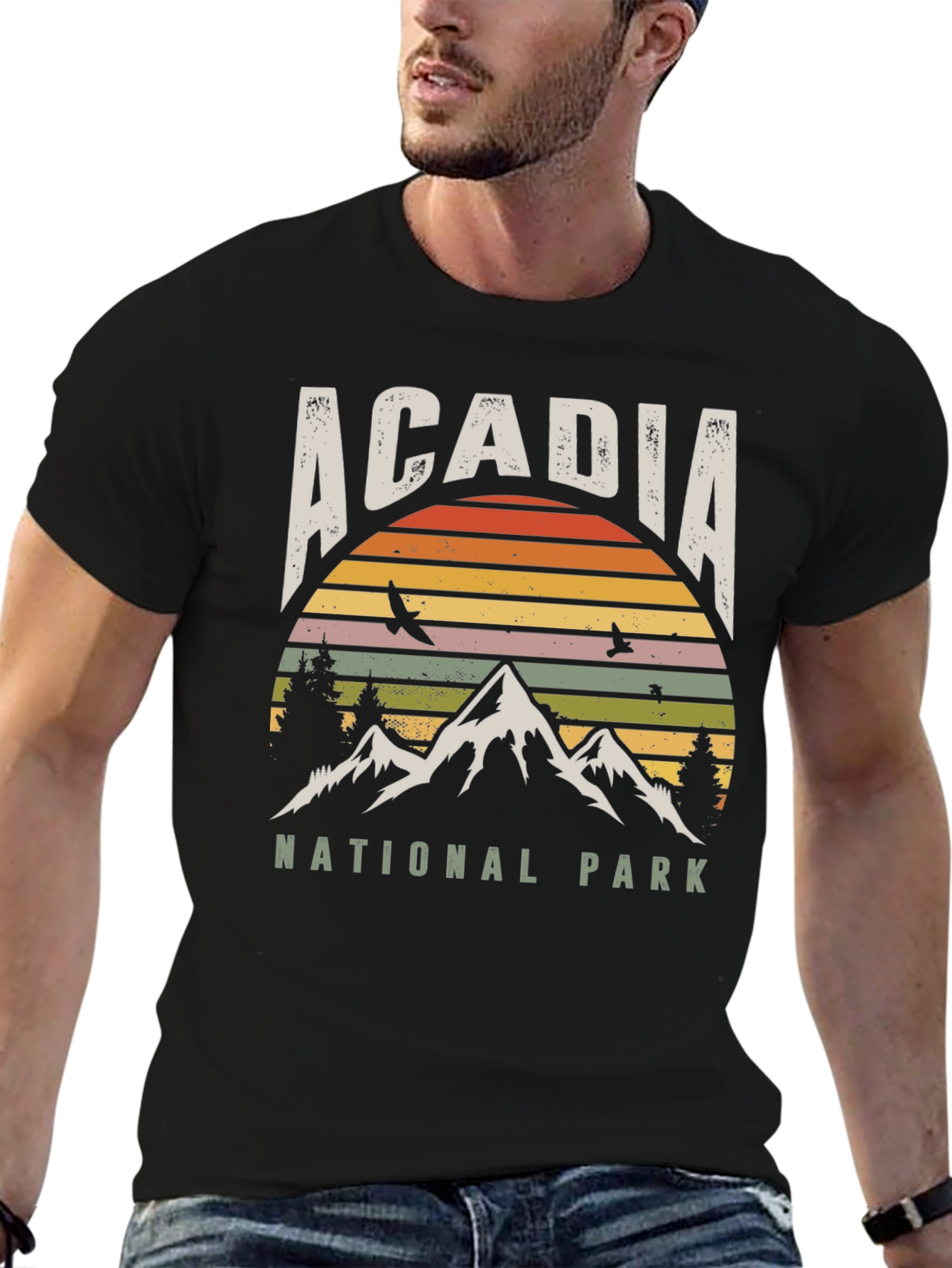 Acadia National Park Retro T-Shirt